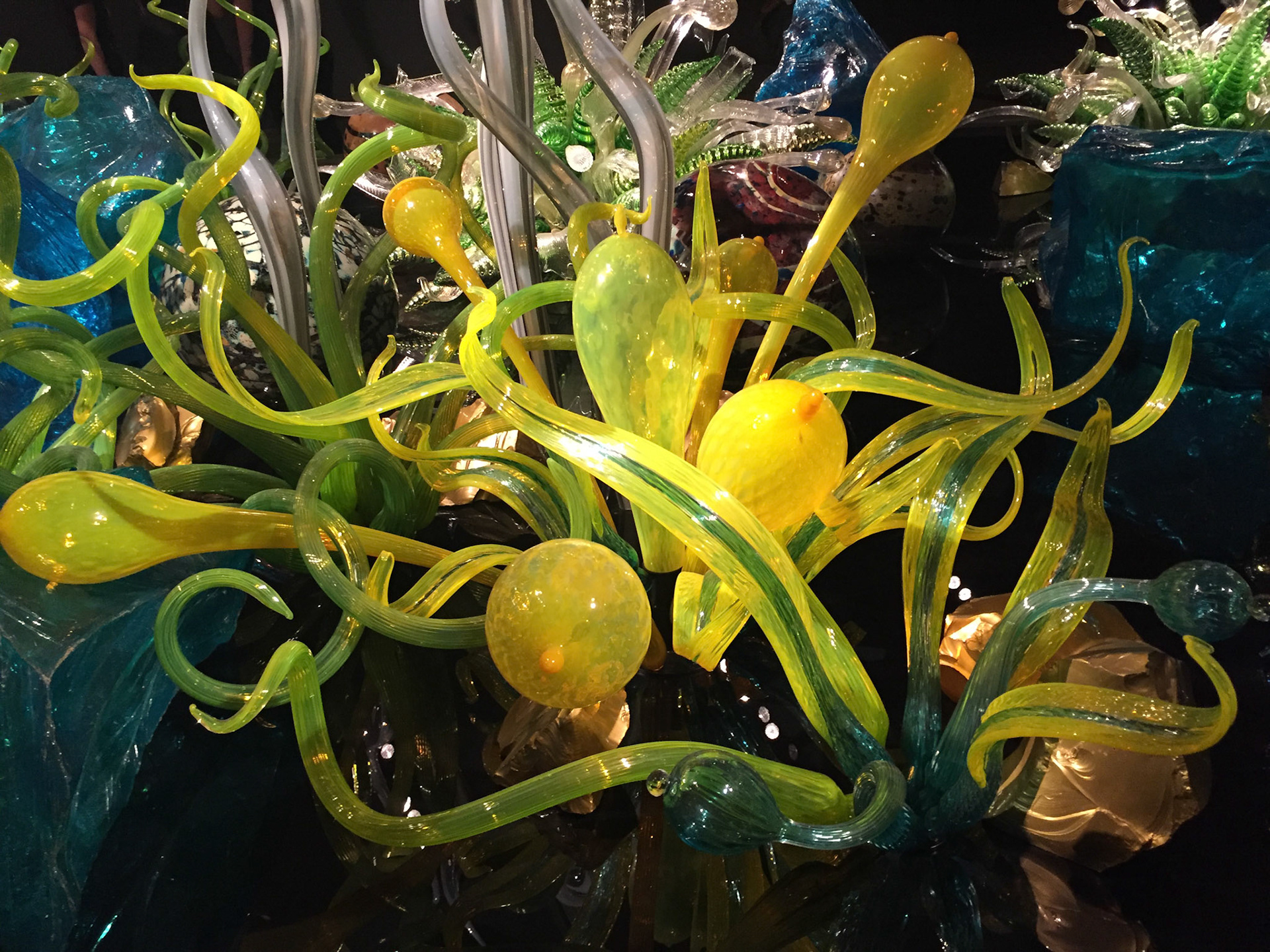 Dale Chihuly's exhibit at the ROM