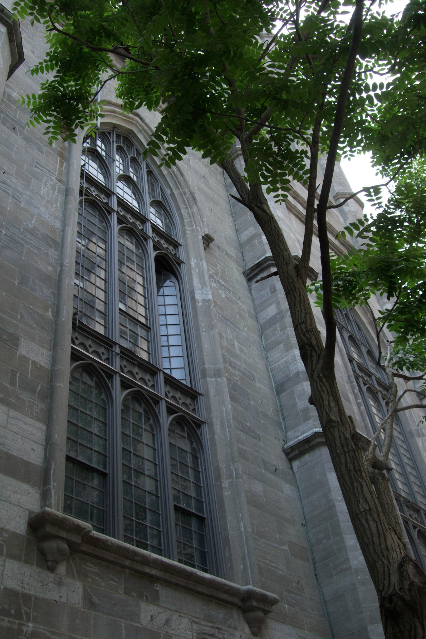 Intriciate window of Notre-Dame Basilica