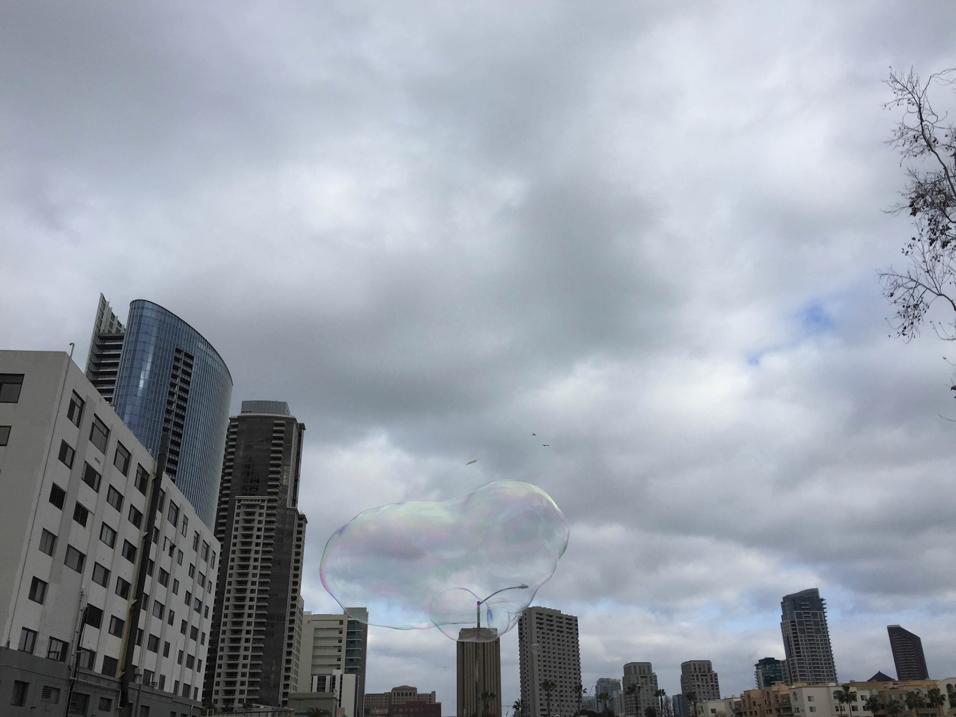 San Diego skyline