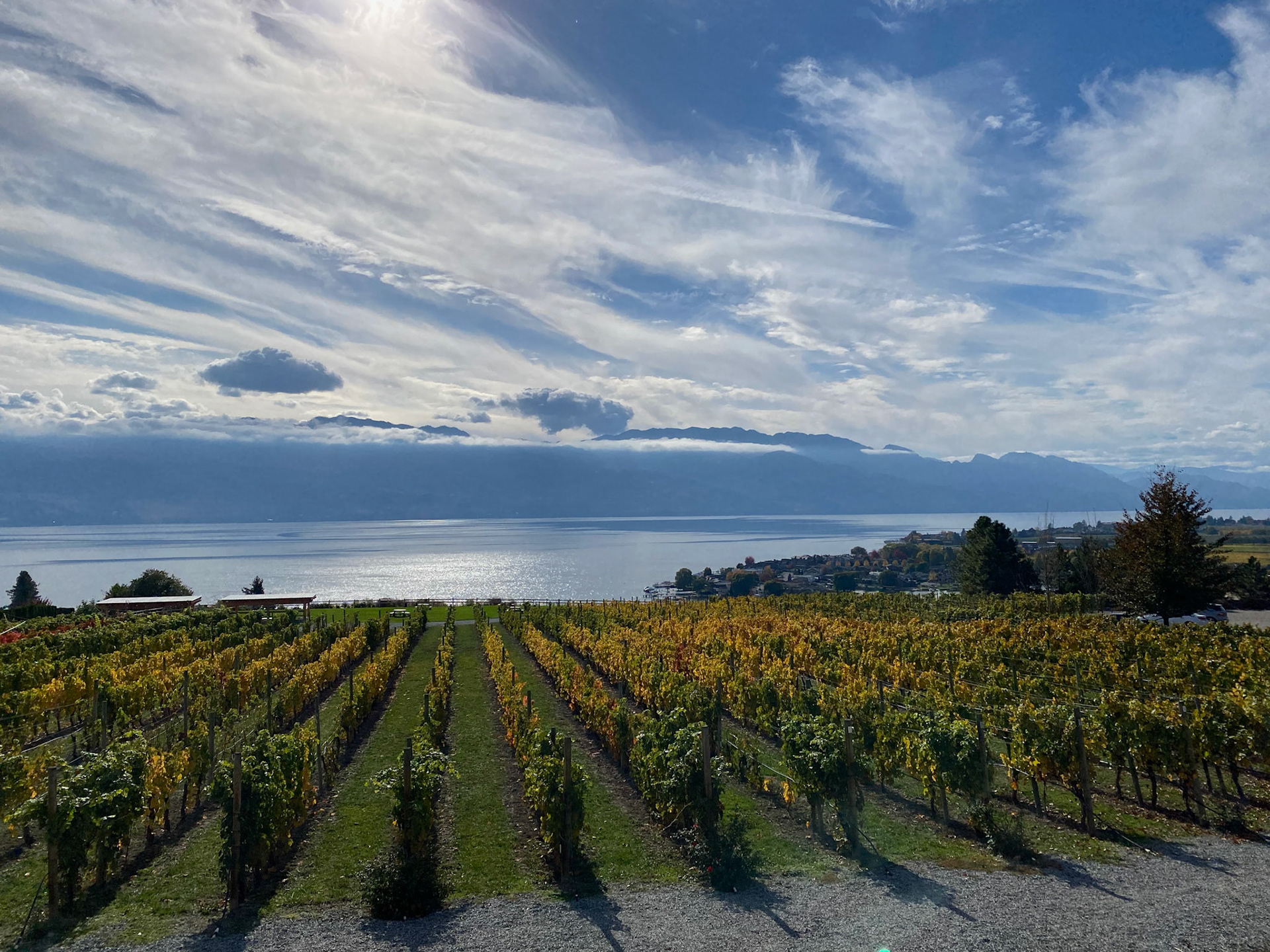 Quail's Gate winery