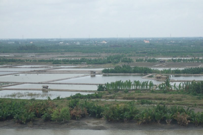 Vietnam and Singapore