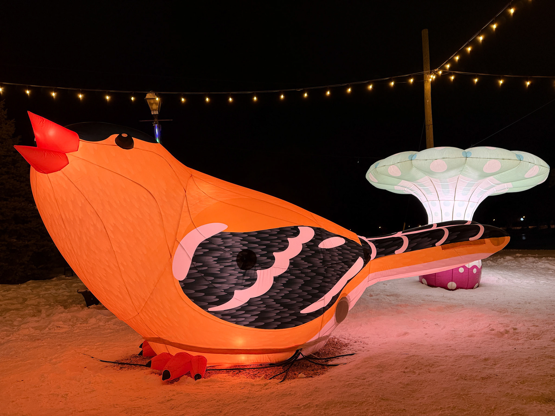 The Birds of a Feather installation at Tom Patterson Island