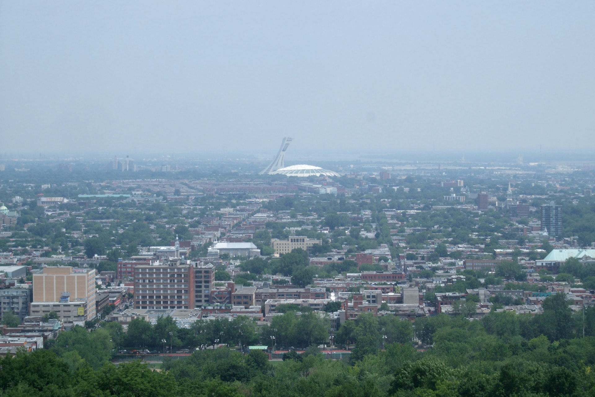 From Mount Royal looking out towards Olympic Stadium
