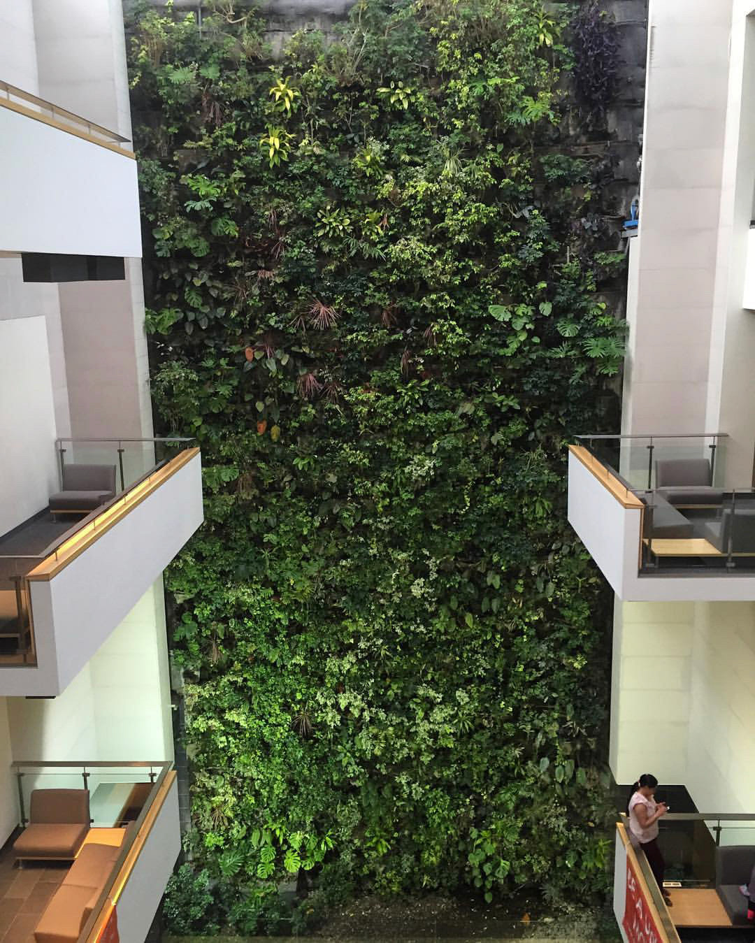 Whose alma mater has a 4-story plant wall? Mine! Looking good @uoguelphhumber! Fun returning to campus this evening #greenbuilding #plants