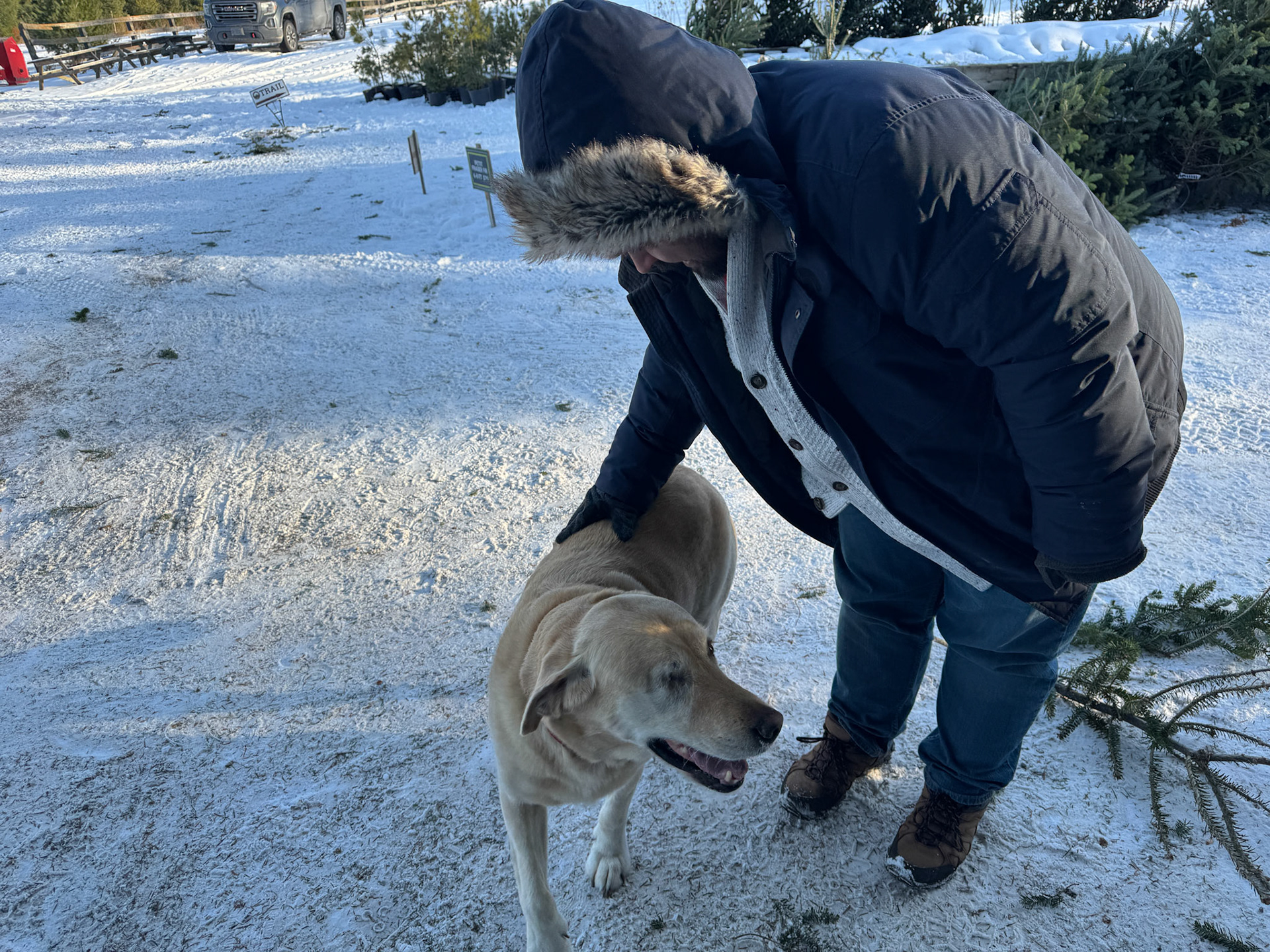 The doggie was super friendly