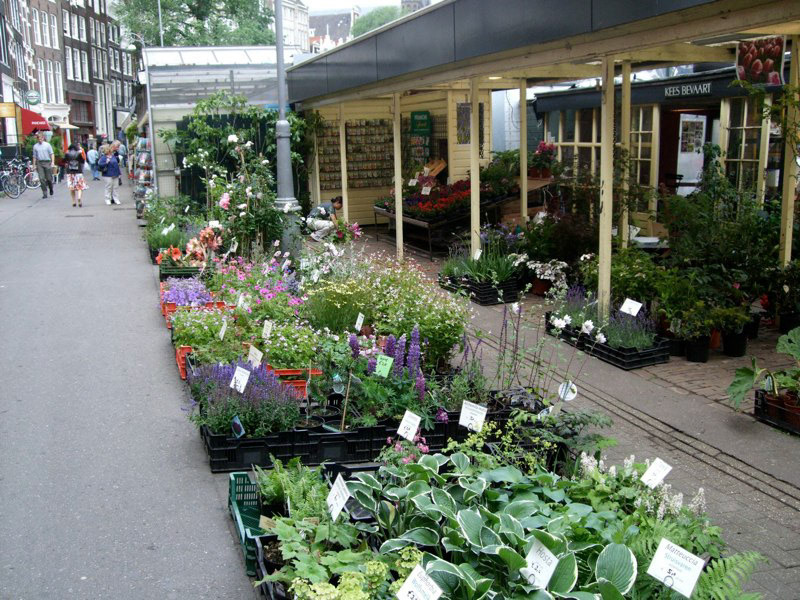 Netherlands, and return home to Canada