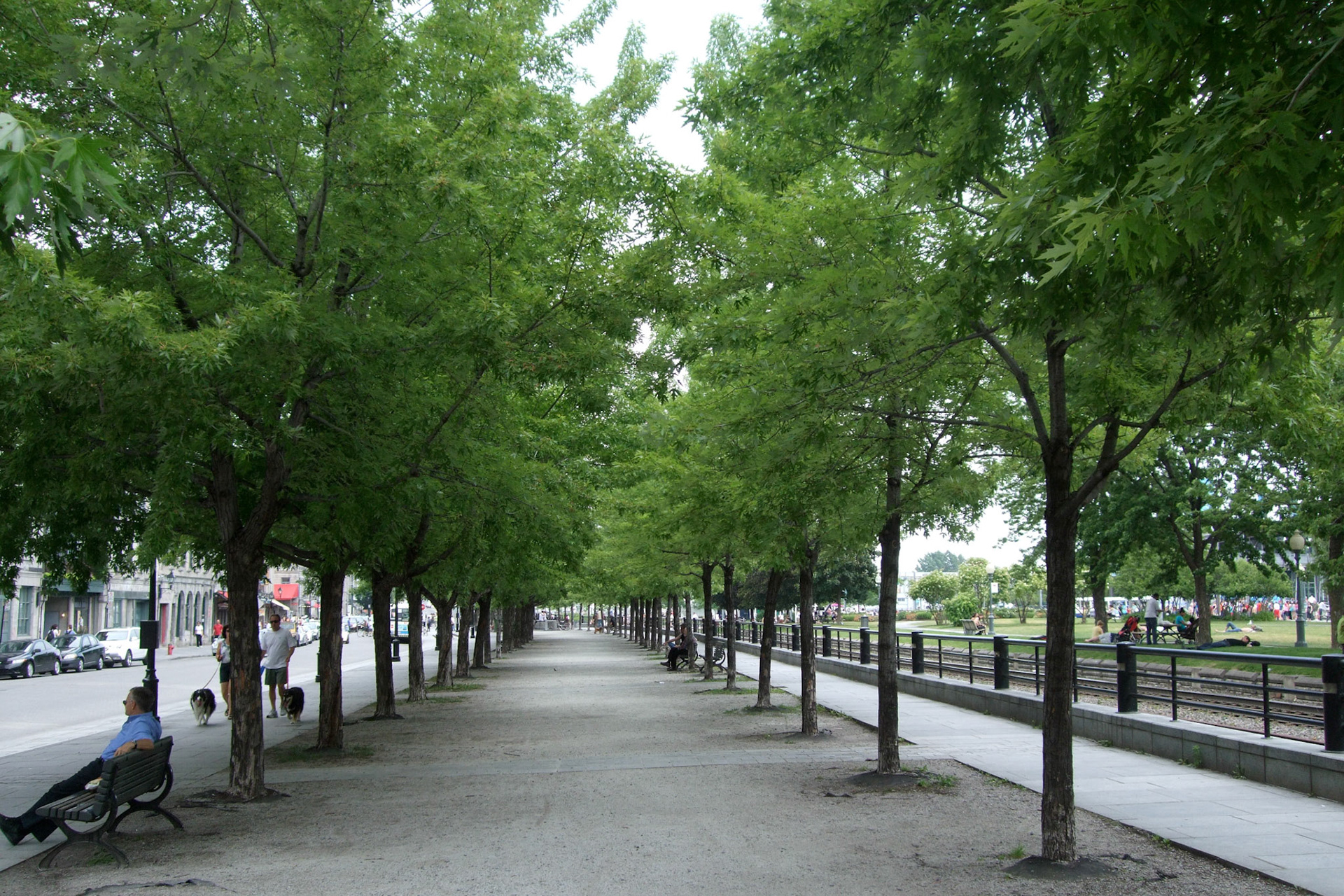 Around the Old Port of Montreal
