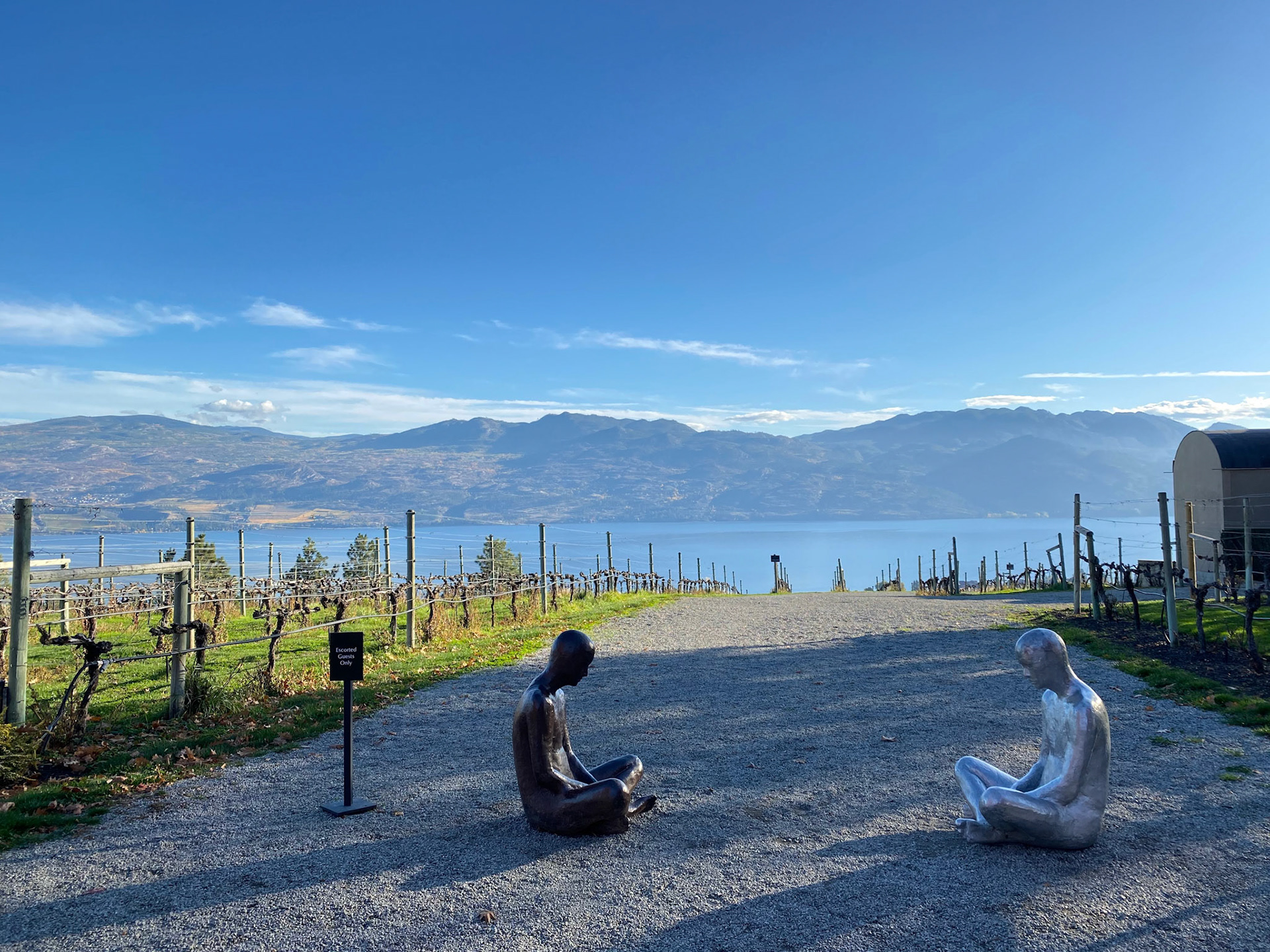 Mission Hill winery