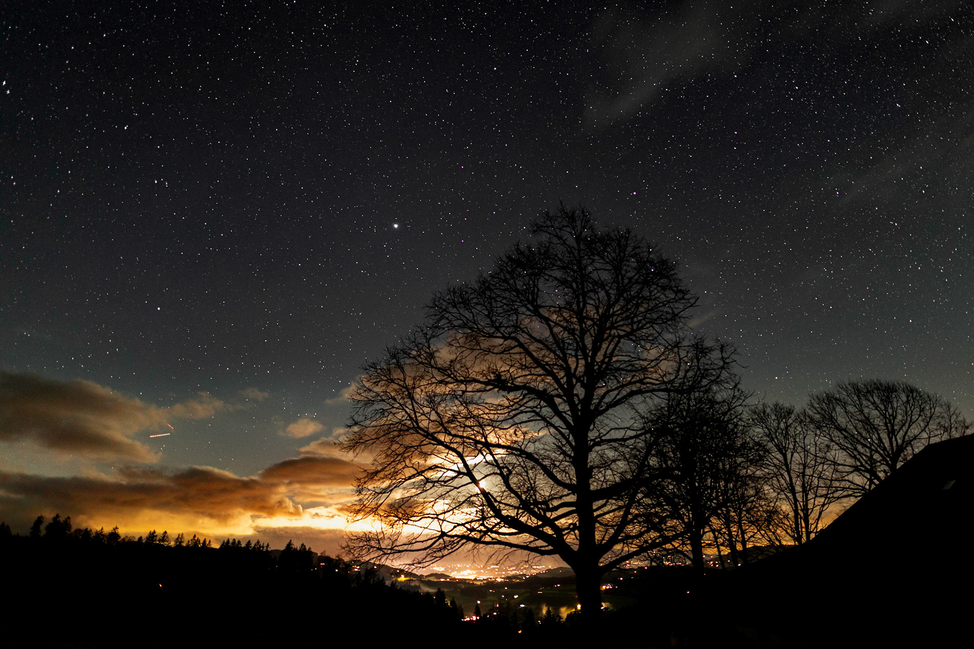 Mondschein im Gegenlicht