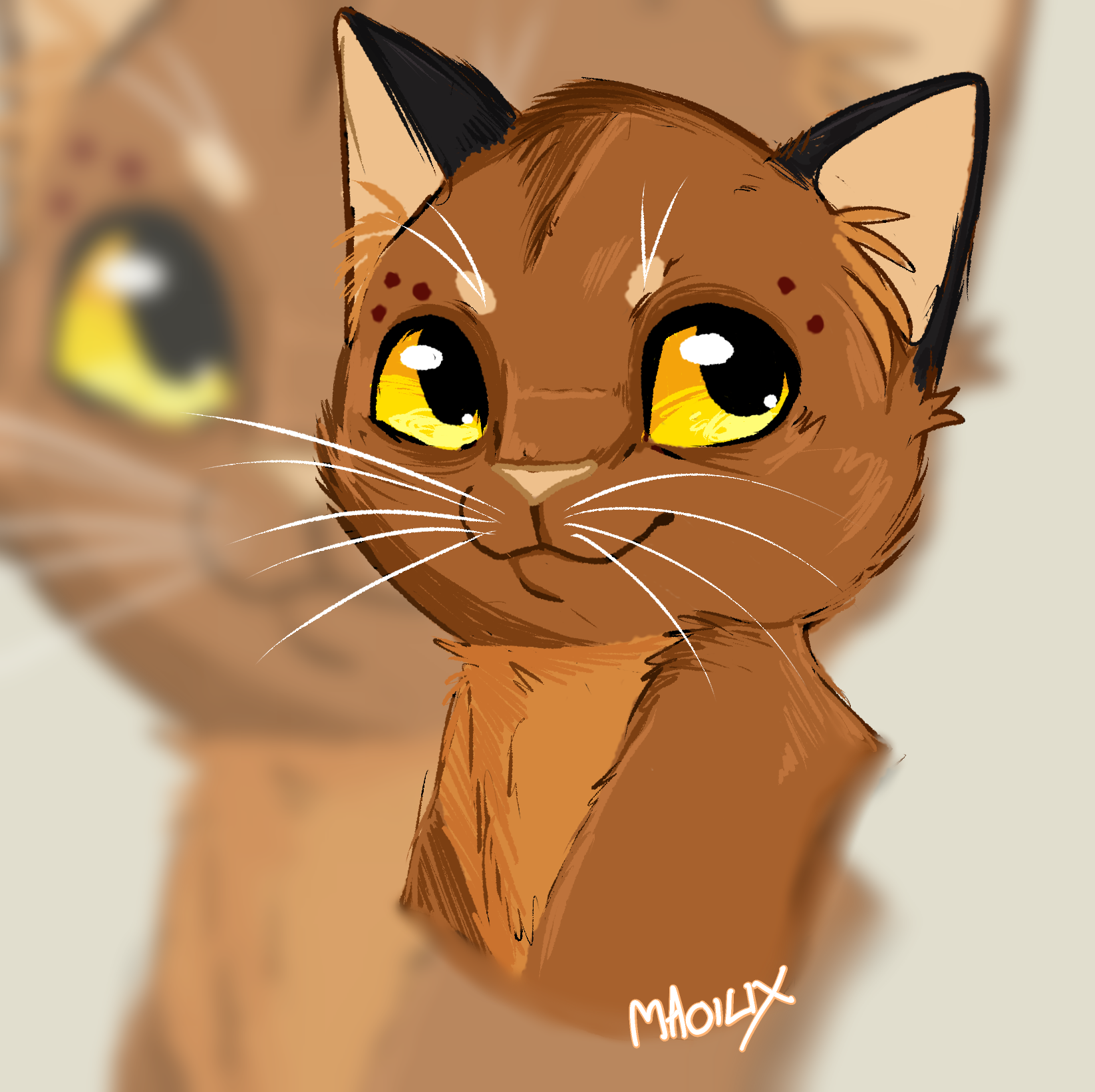 by maoilix