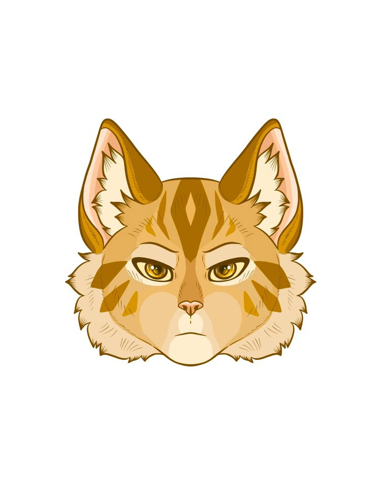 by redcats_warriors