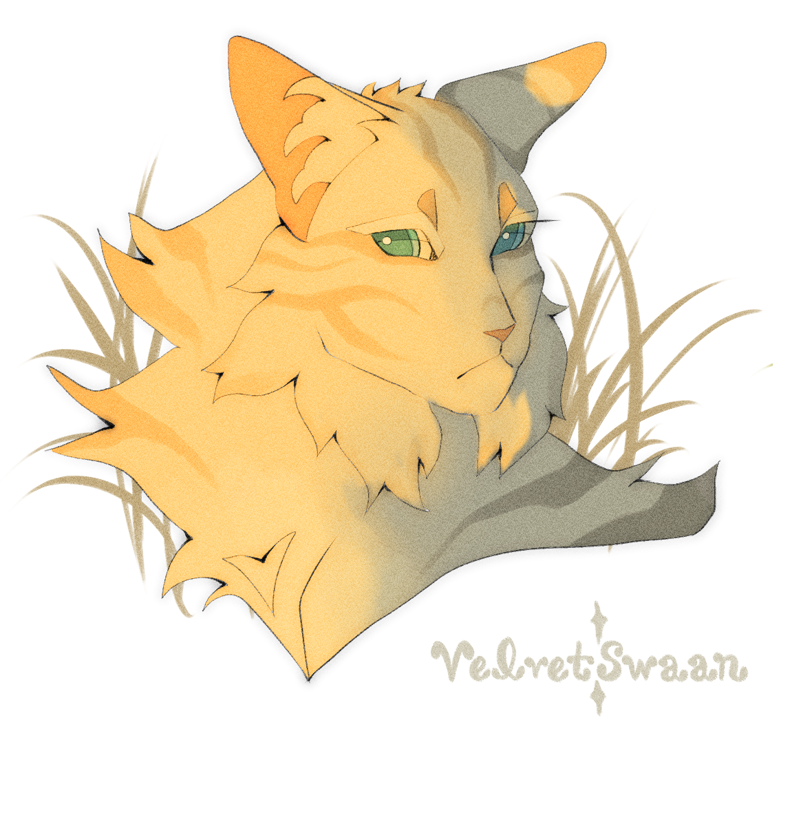 by velvetswaan