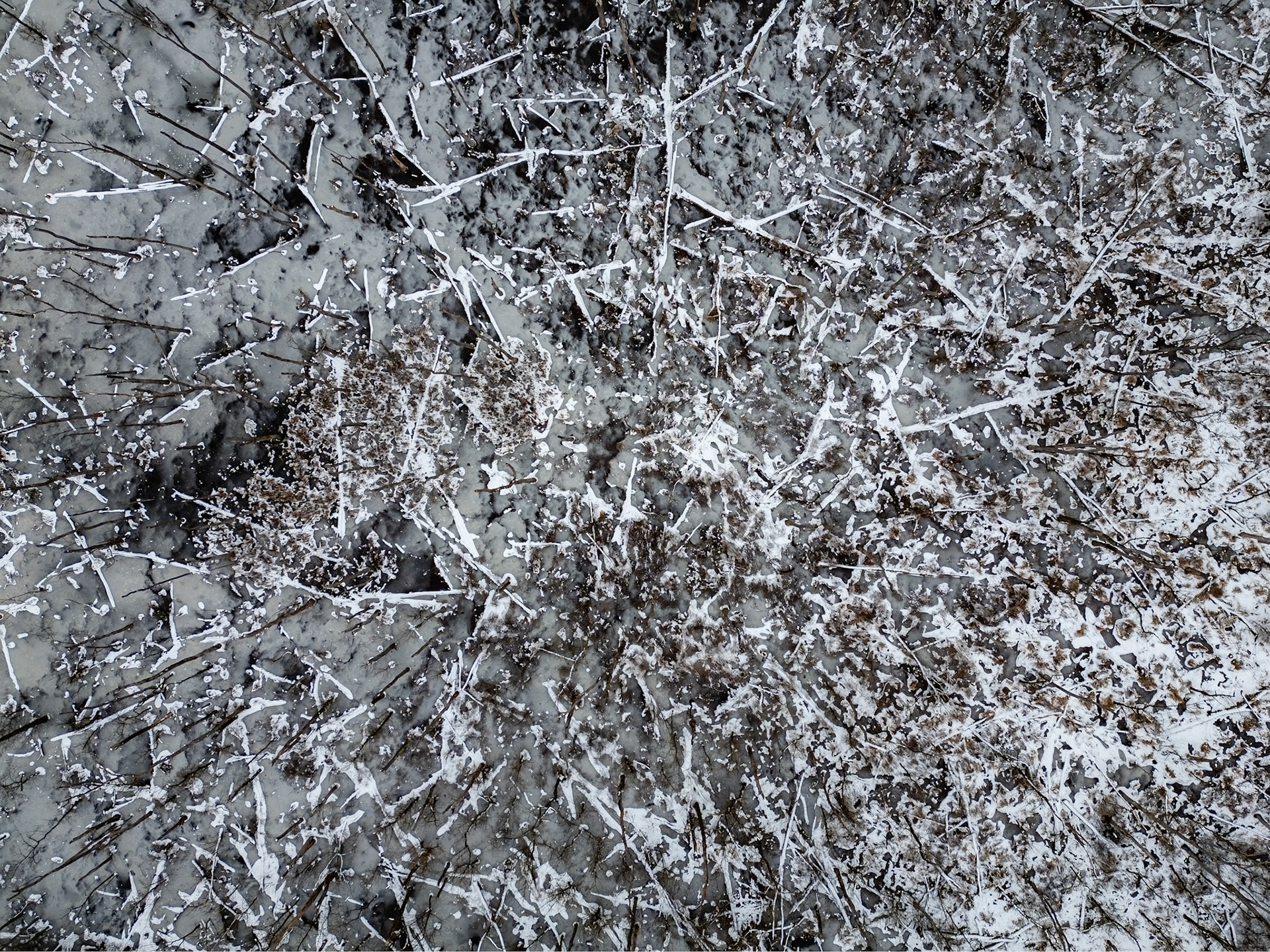 Winter Rhythm