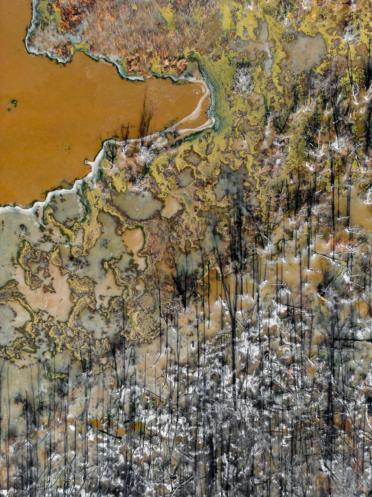 Landscape #1