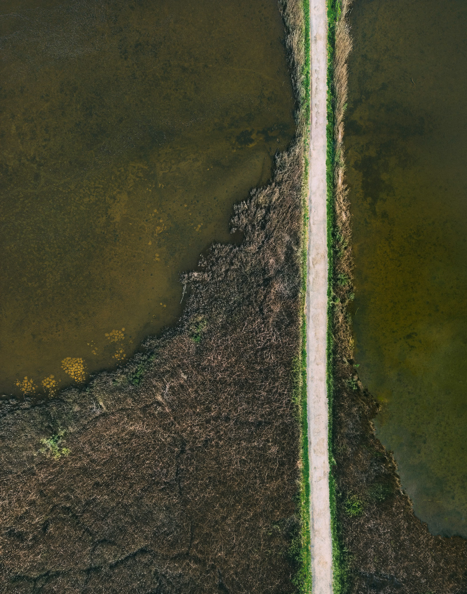 Landscape #2