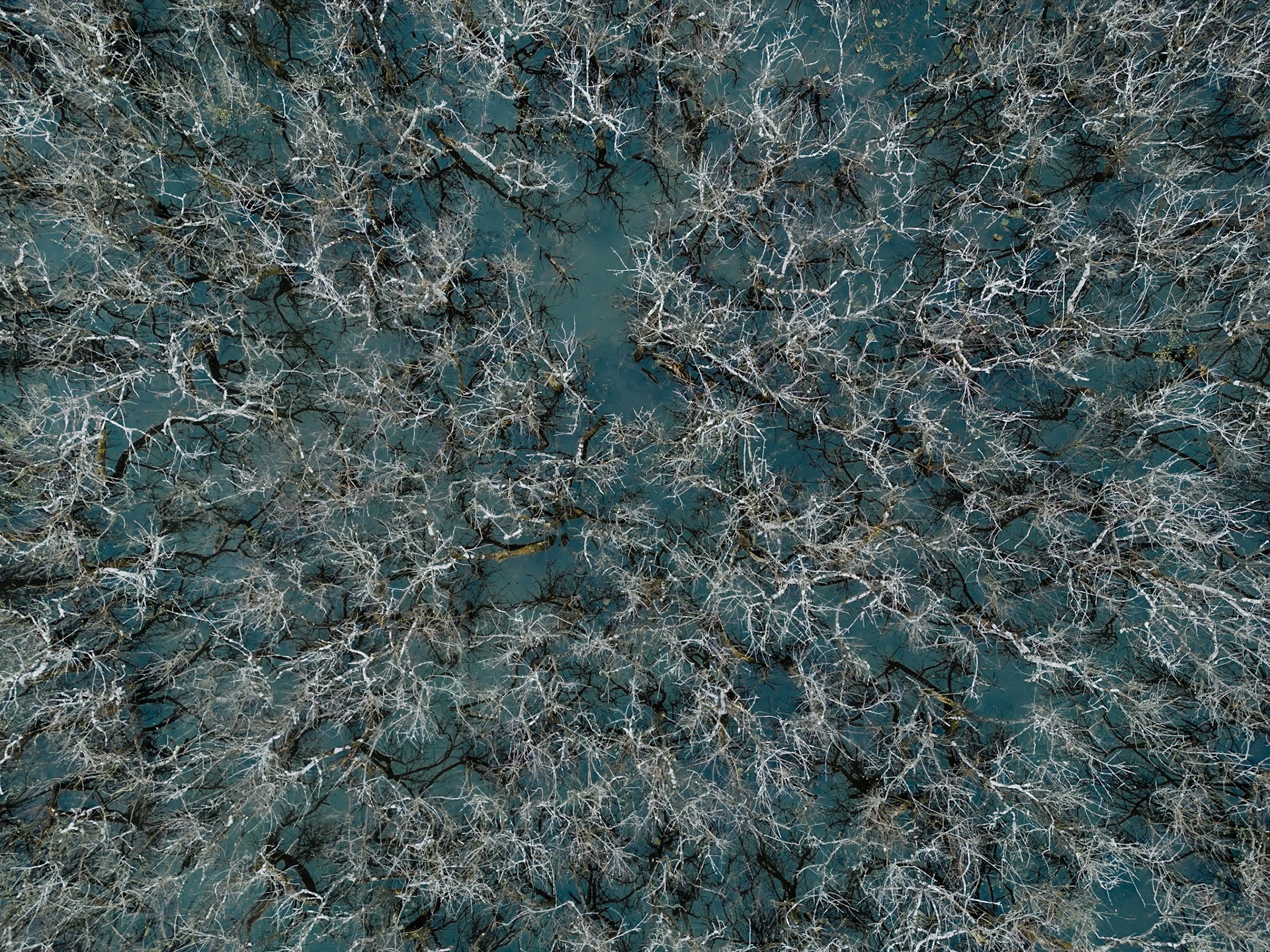 Neural Patterns