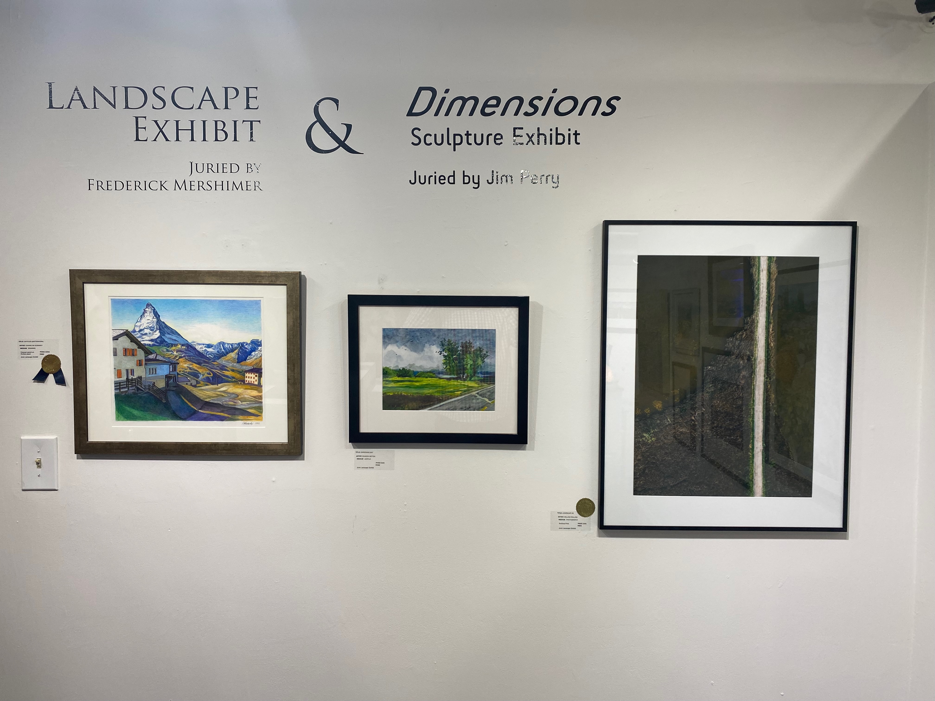 Gallery View