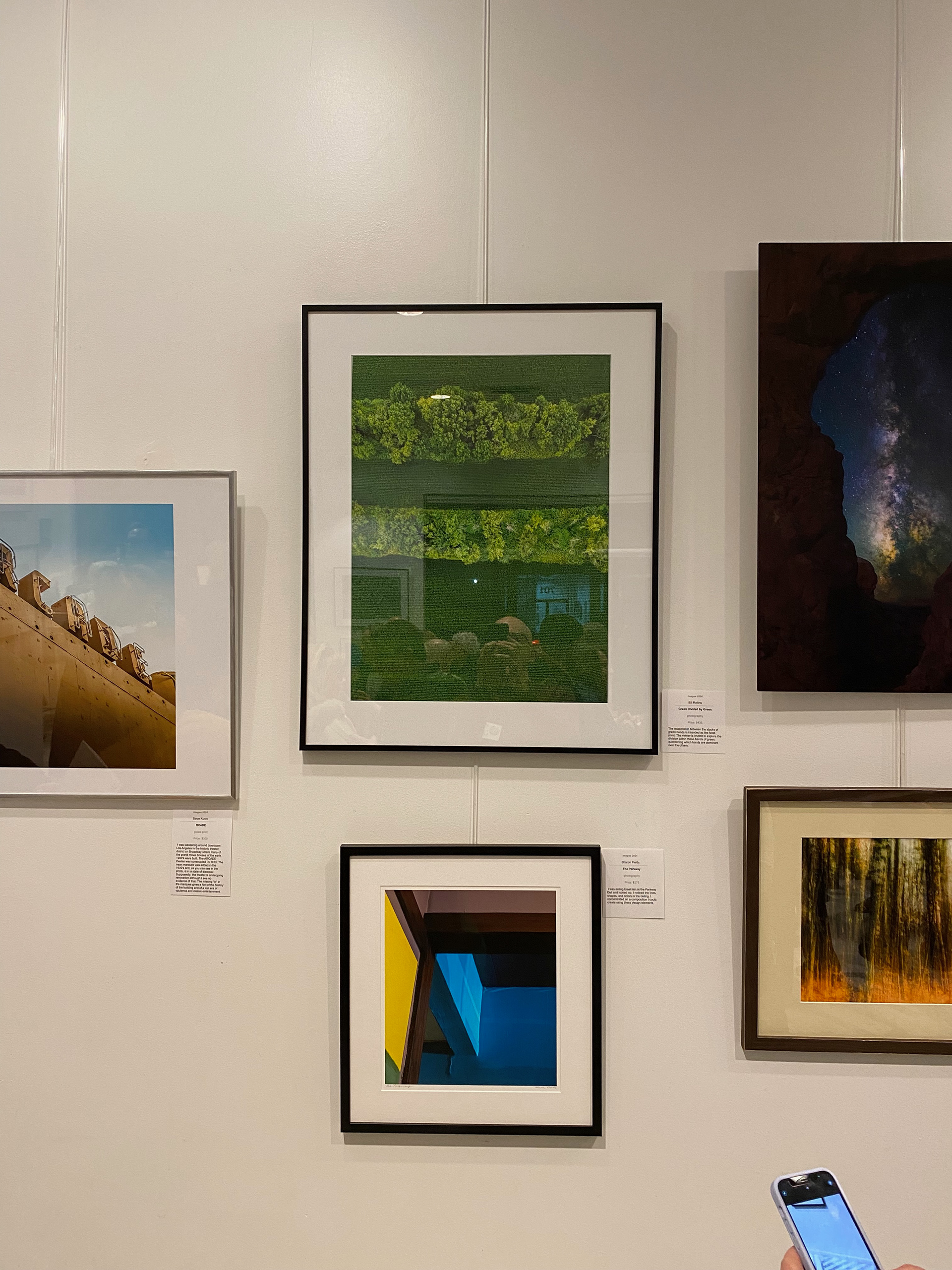 Green Divided By Green in Gallery