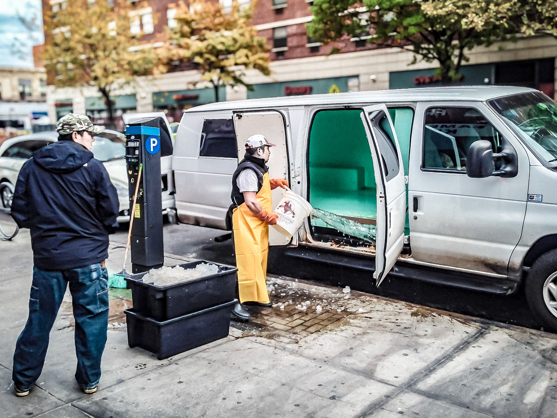 Worker Cleaning Fish Van