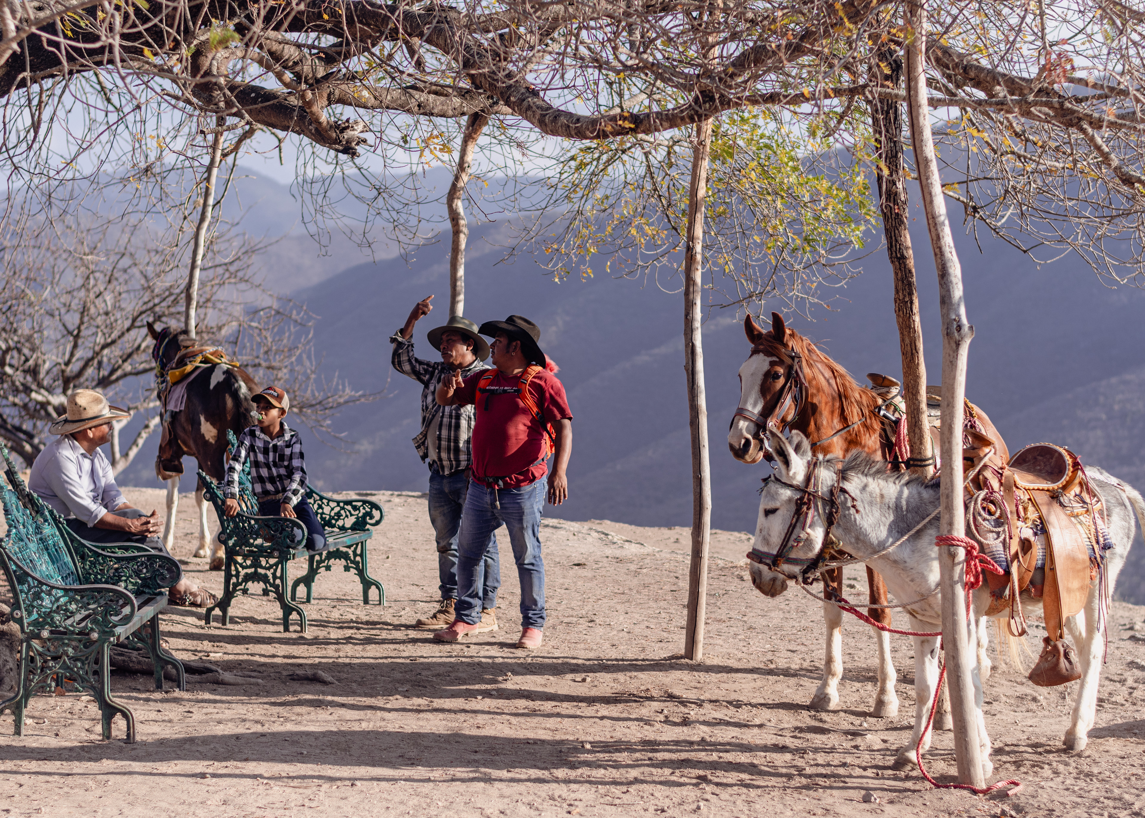 Discussion intergénérationnelle