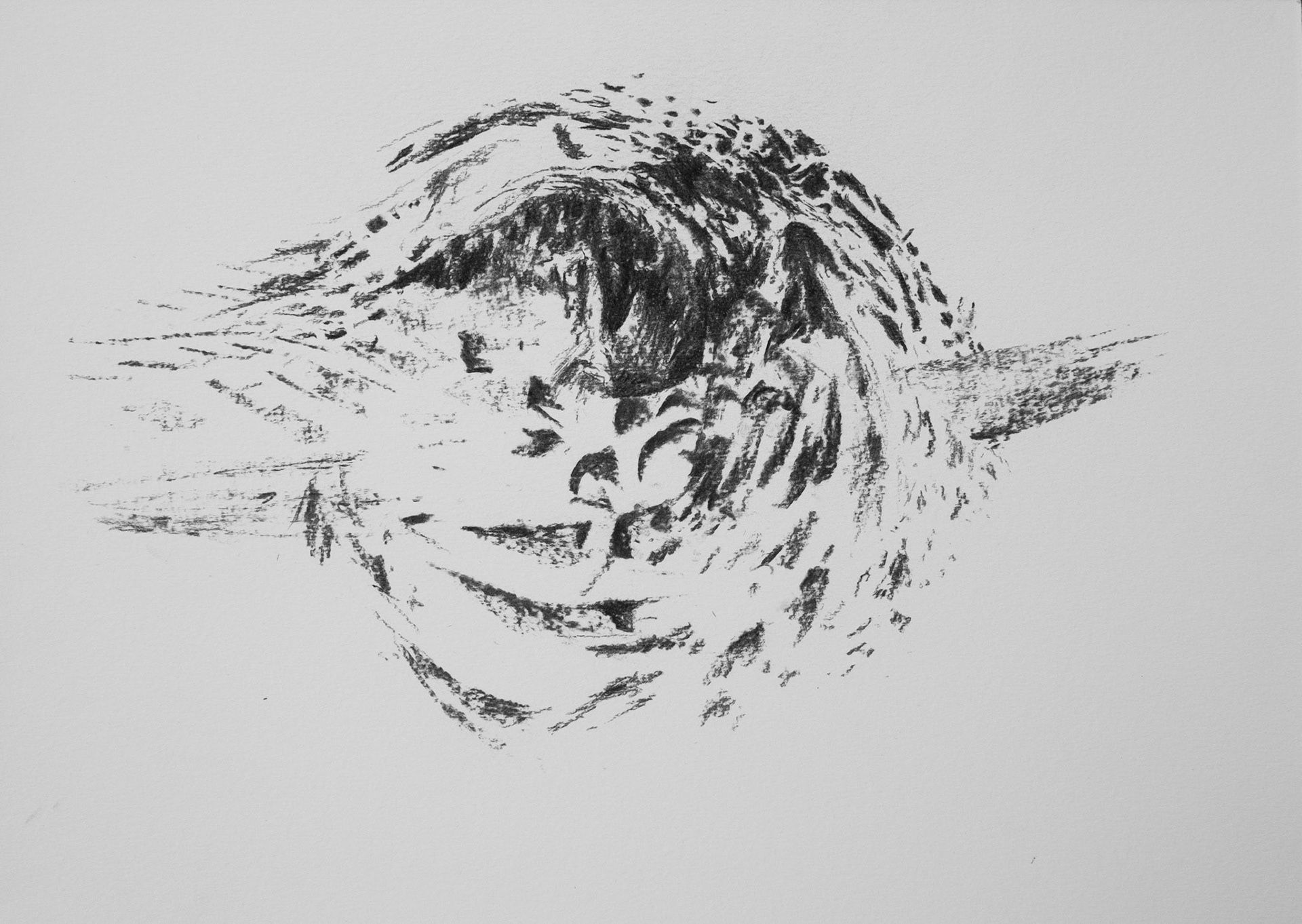 Famille, charcoal on paper, 2021