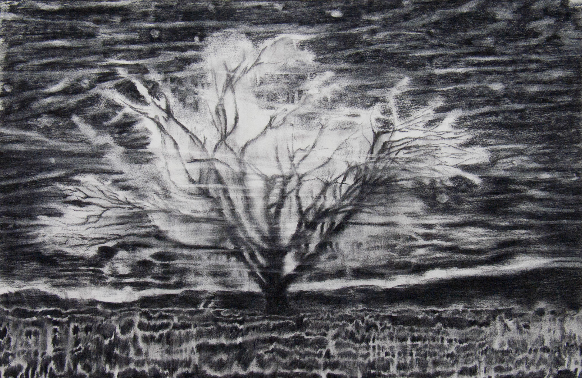Sans titre, fusain sur papier Arches, 46,5x71,5, 2014