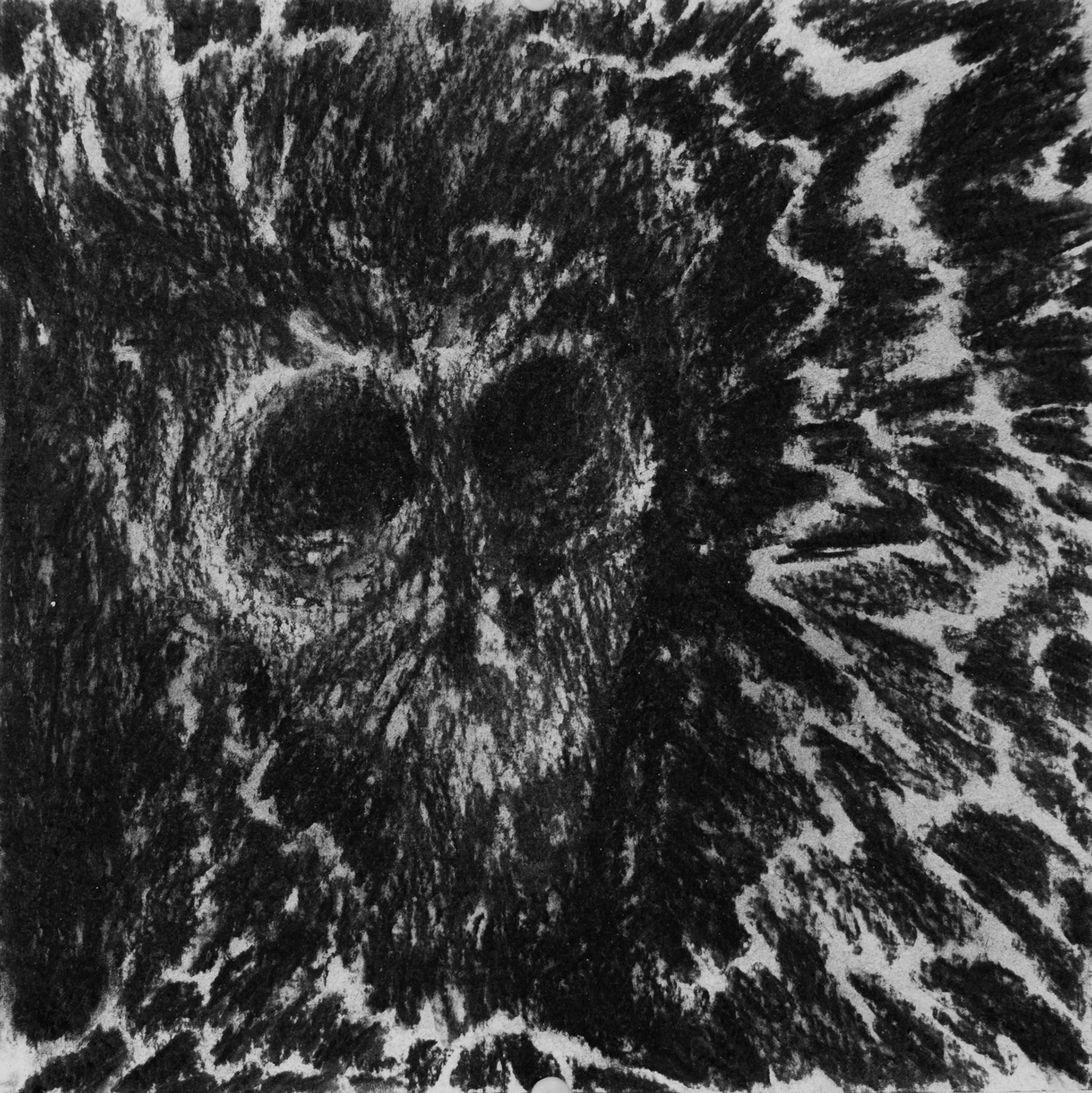 Famille 02, fusain sur papier, 24x24, 2015