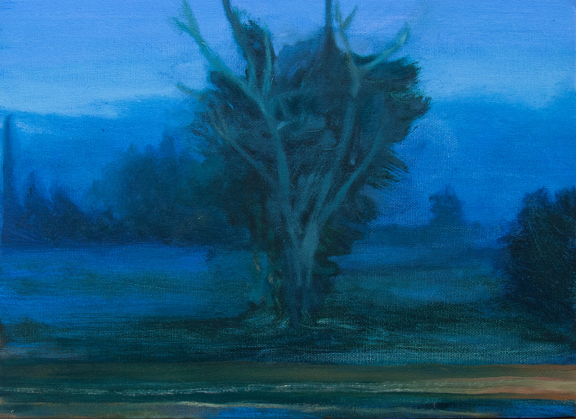 Nuit bleue, oil on canvas, 33x24cm, 2018
