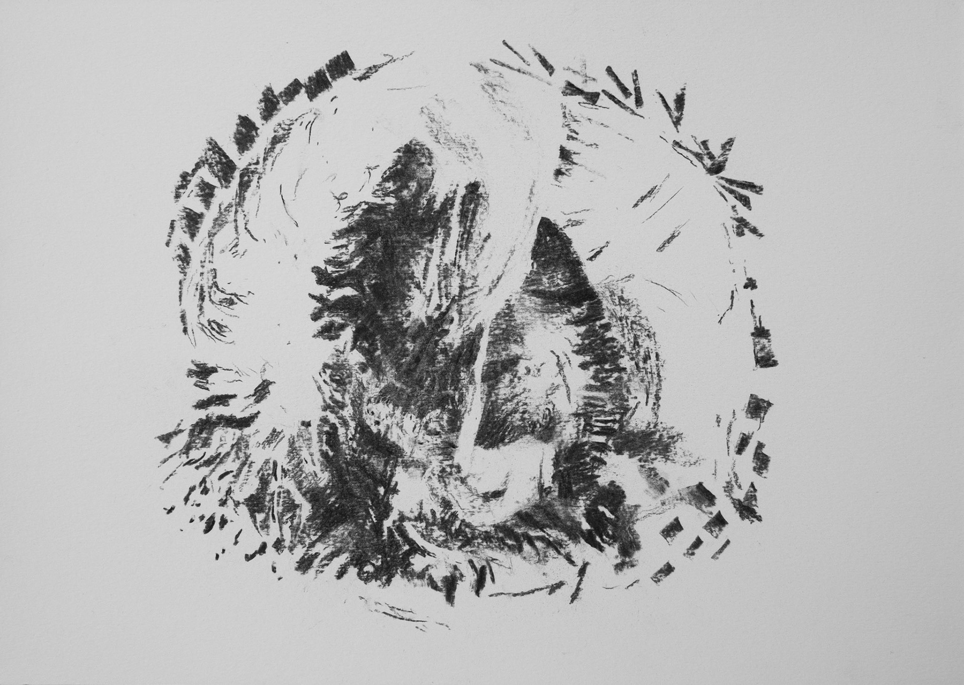 Famille, charcoal on paper, 2021