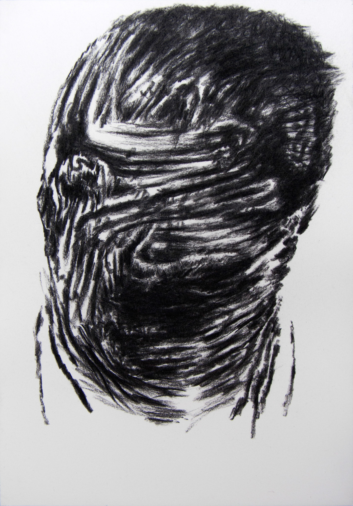 Famille 10, fusain sur papier, 36x26, 2015