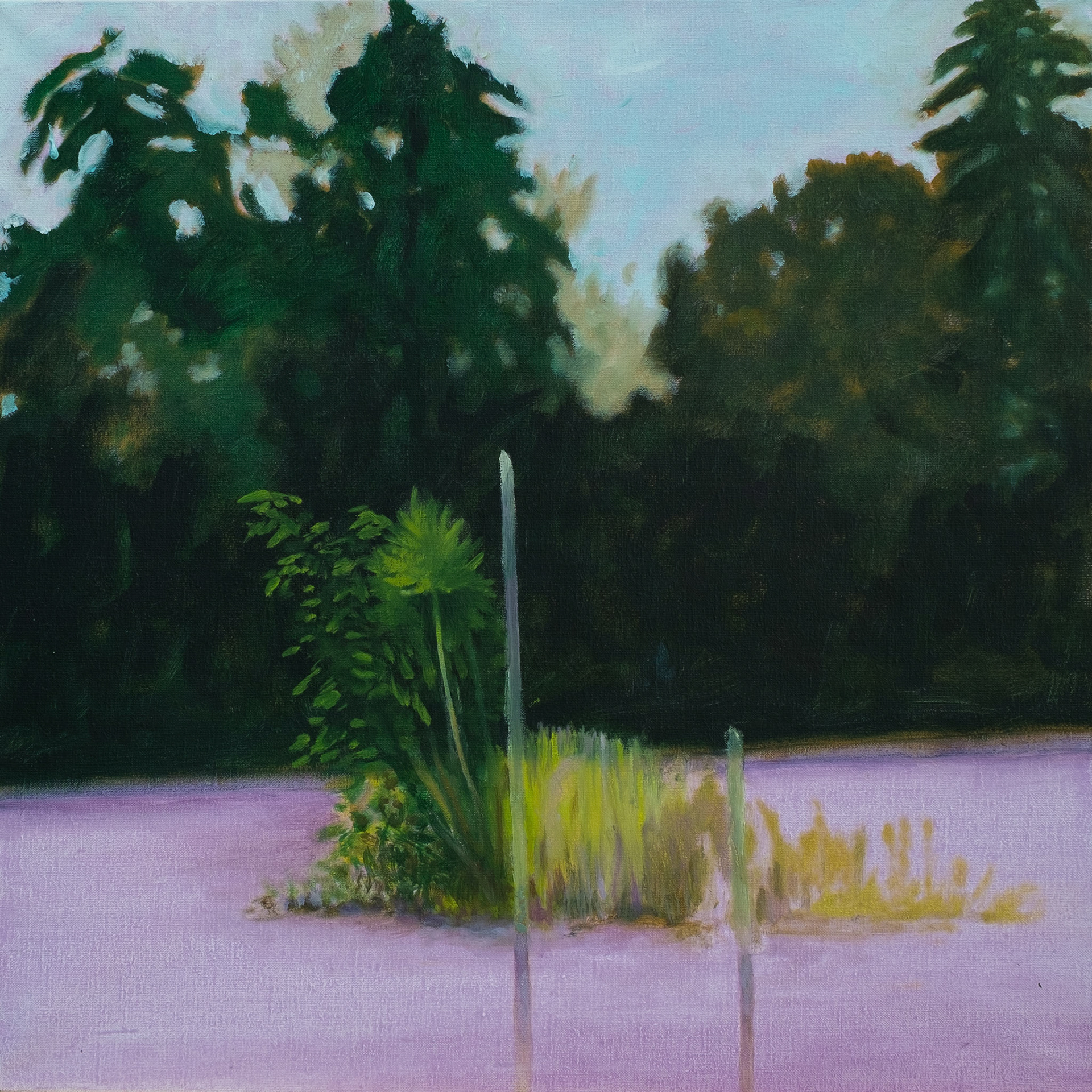 Reconquête, oil on canvas, 60x60-2020