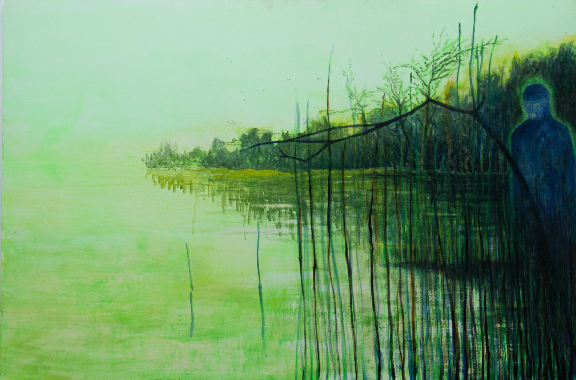 Sans titre, huile et acrylique sur toile, 130x195, 2014