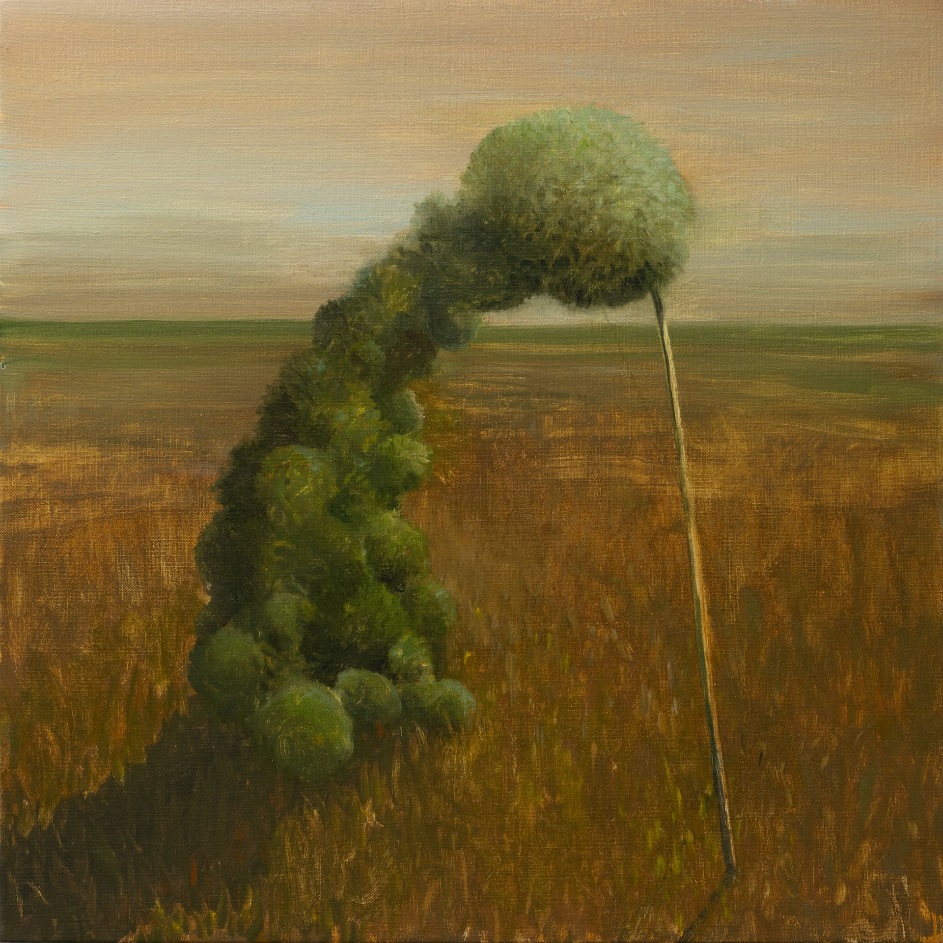 Repos, oil on canvas, 70x70, 2023