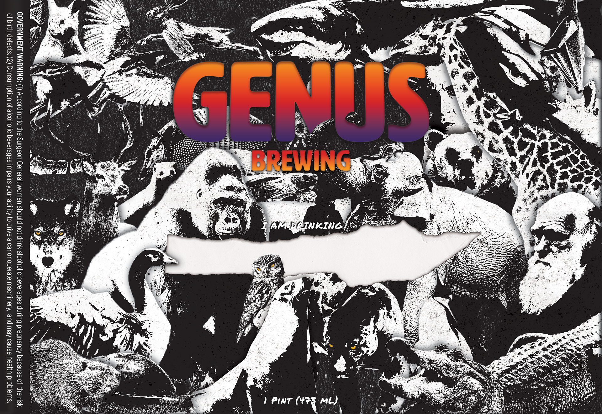 Beer Label for all the beers named after different genuses.