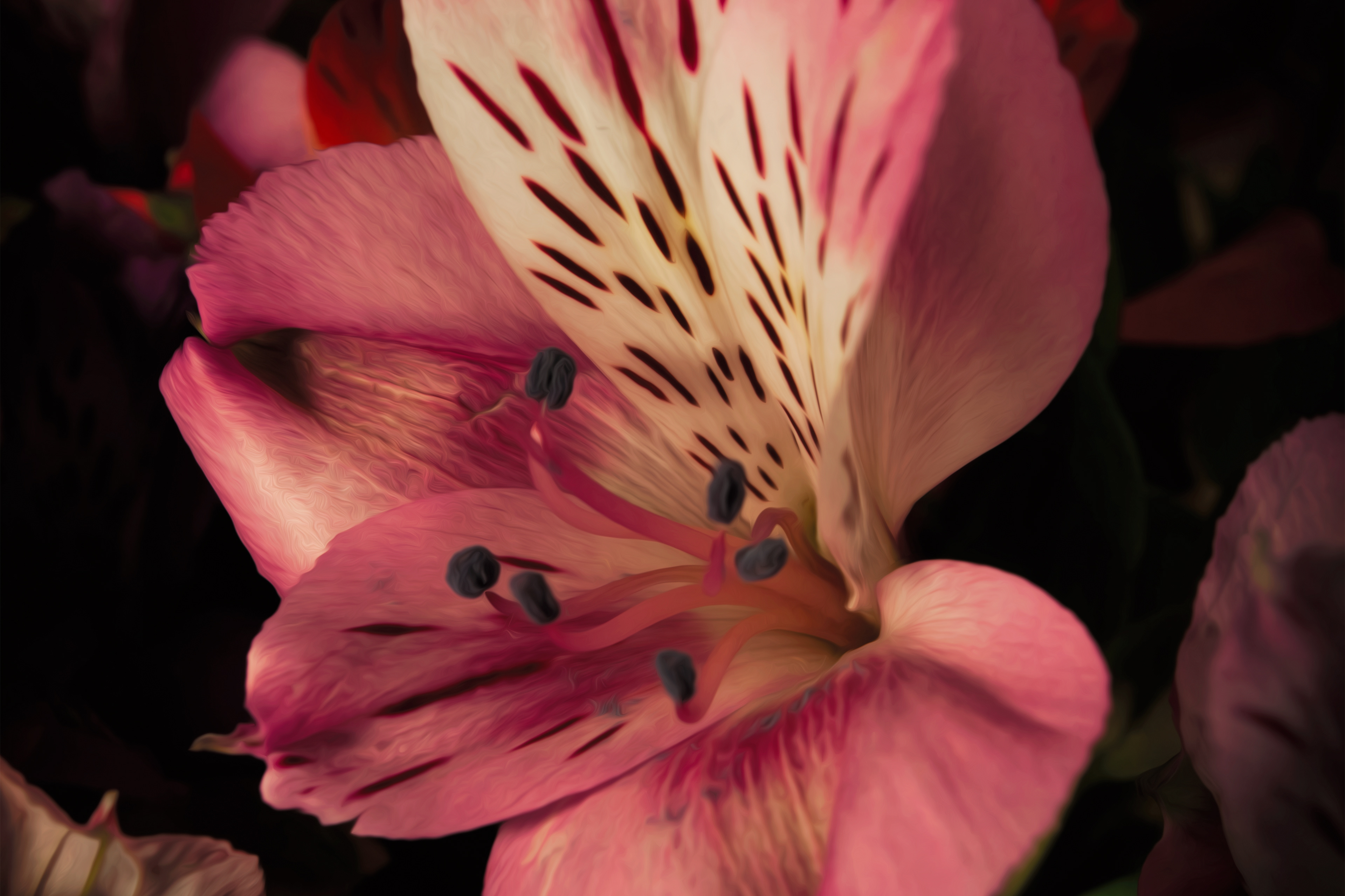 Pink Spotted Flower