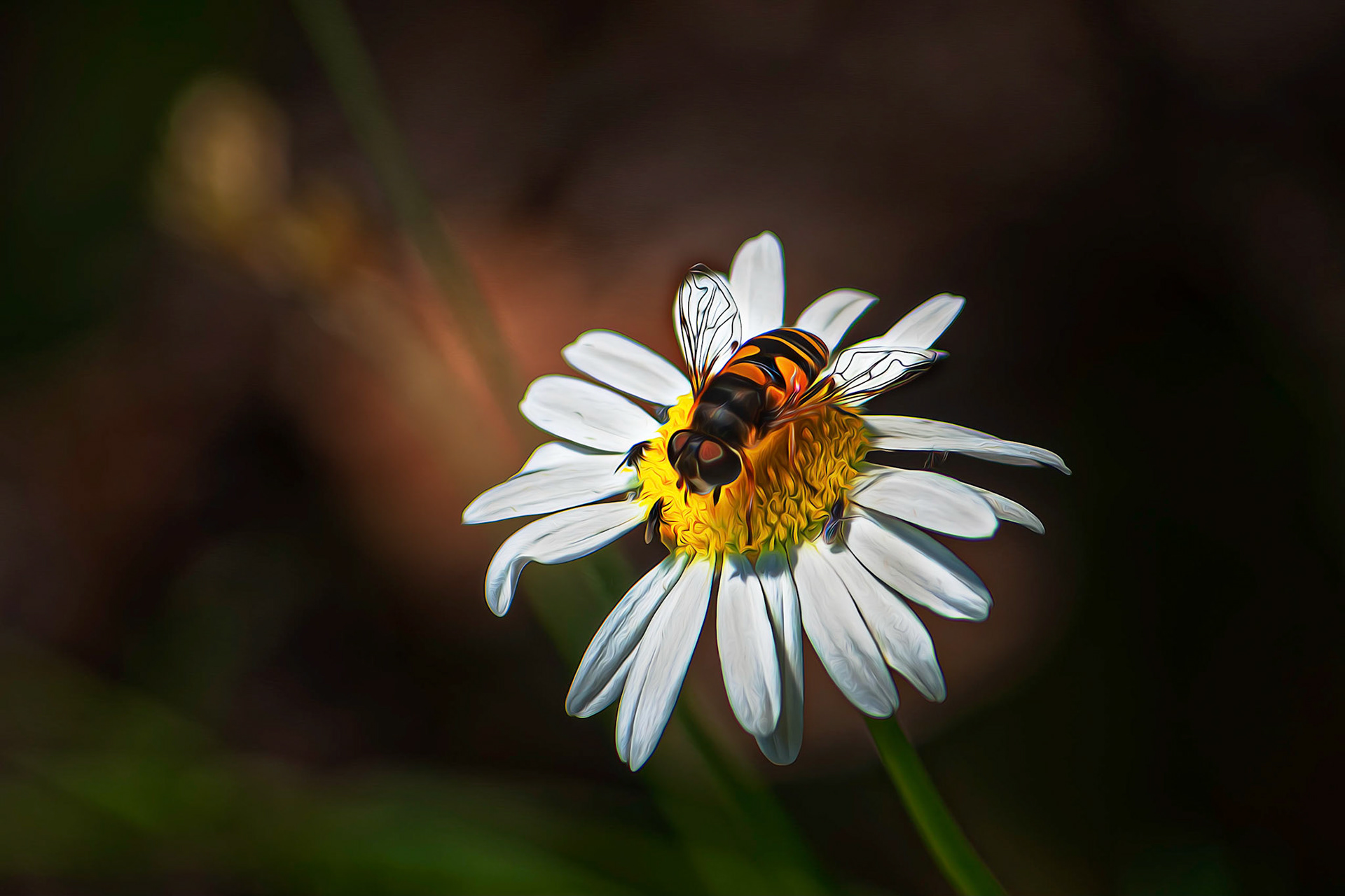 Bee and Flies on Flower