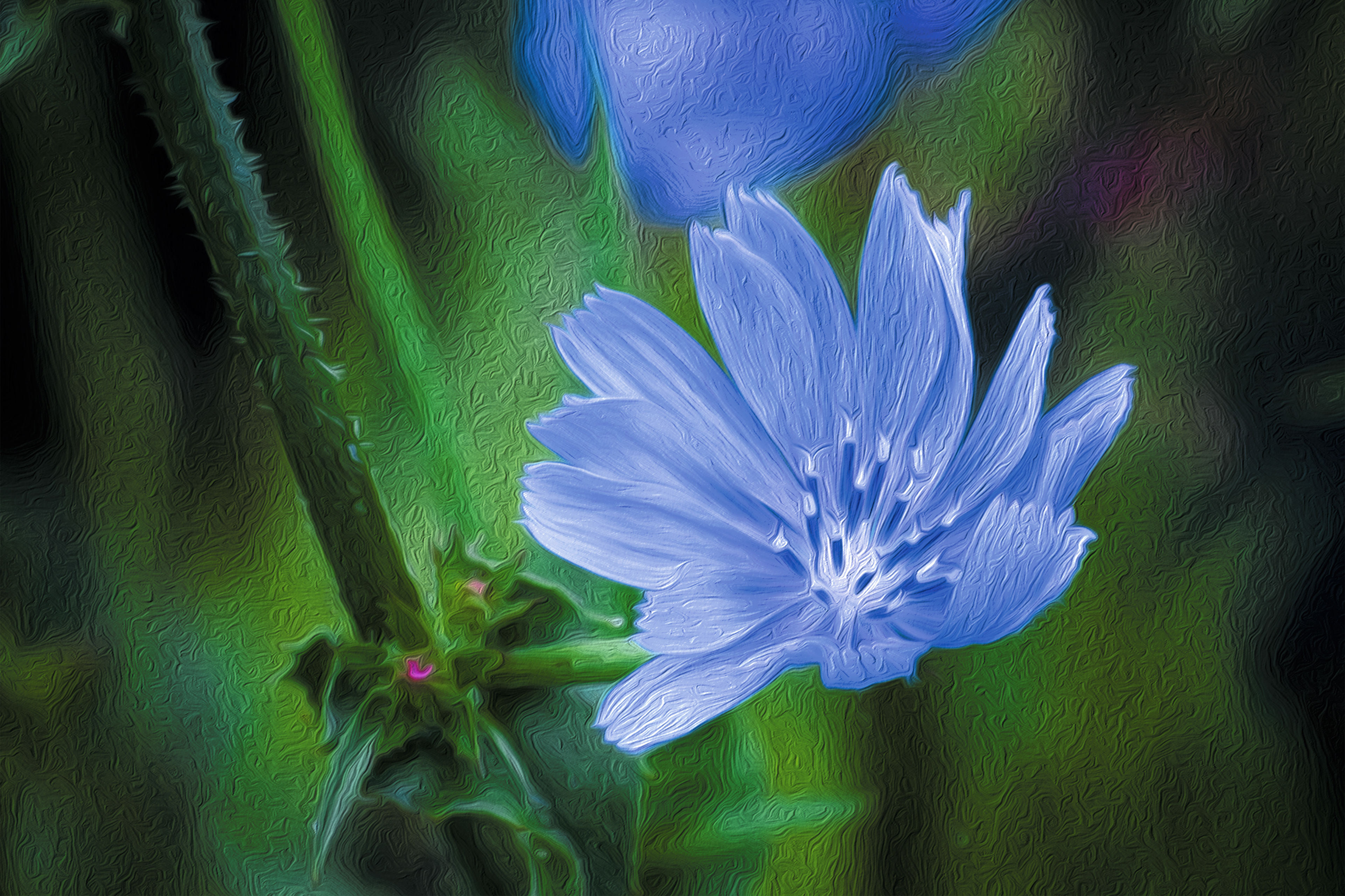 Pale Light Blue Flower