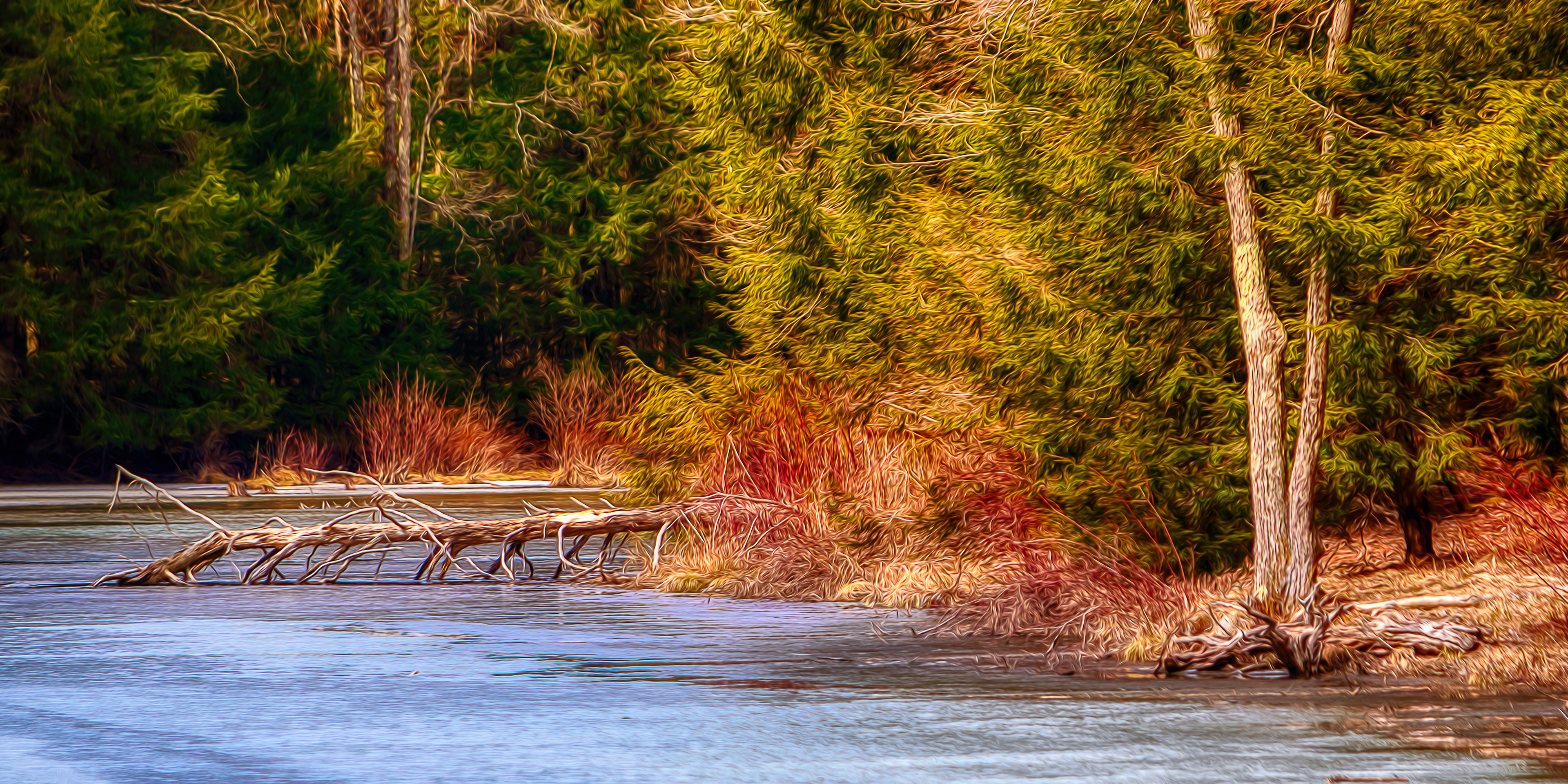 Thawing Shoreline
