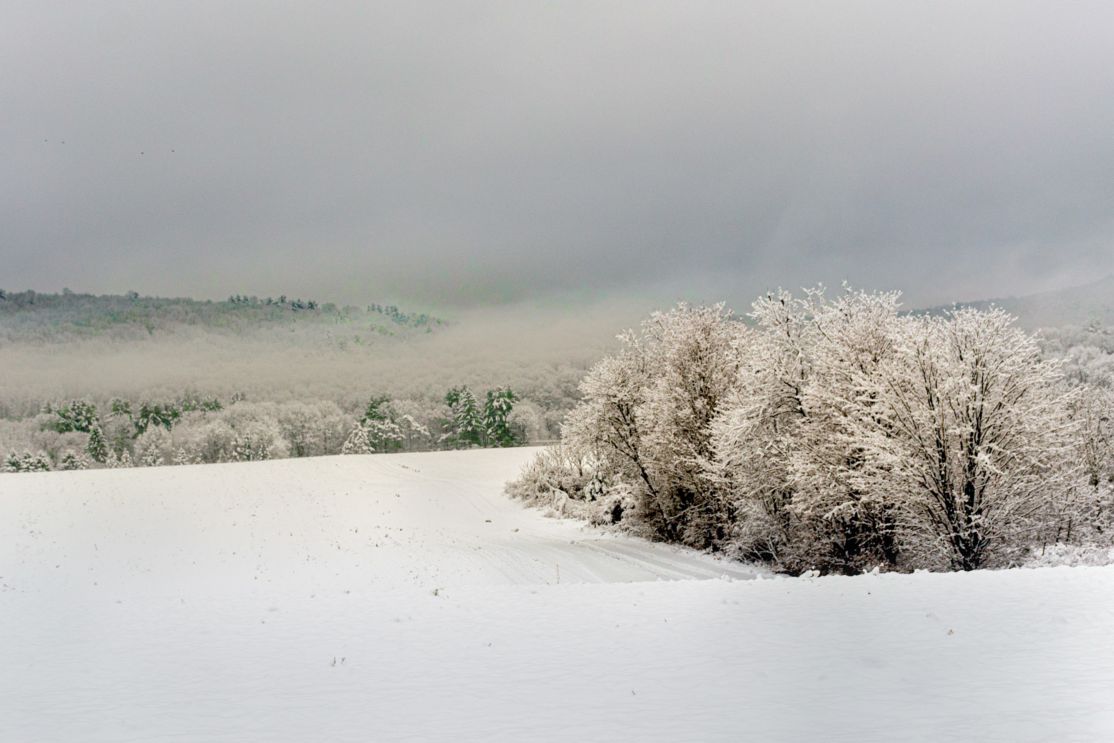 Fog Forming Over Fresh 5" of Snow in Windsor