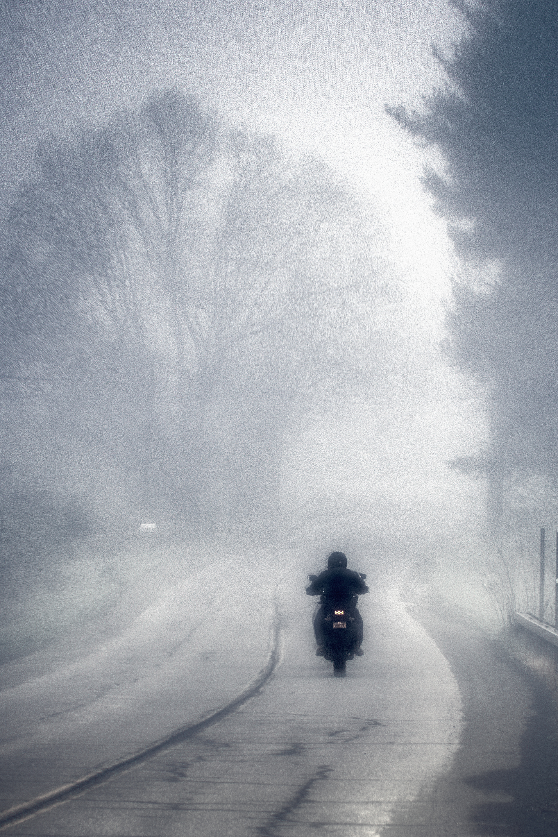 Into the Fog