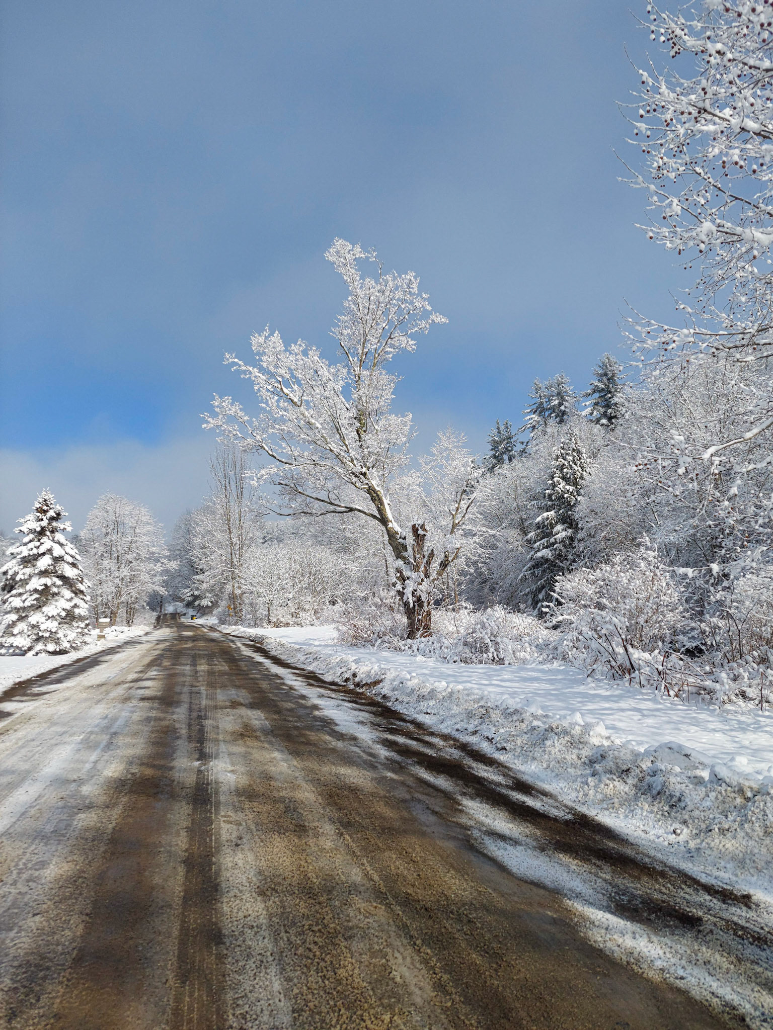 Snowy View on Seward Road