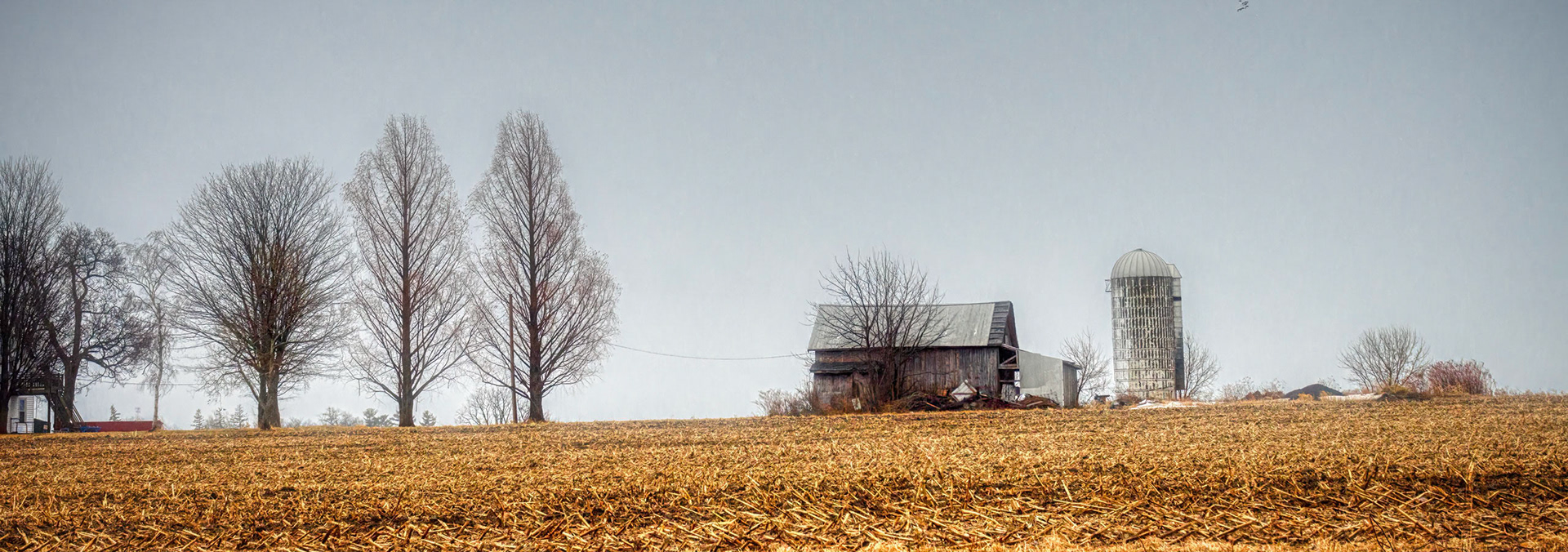 Family Farm with Trees and Field