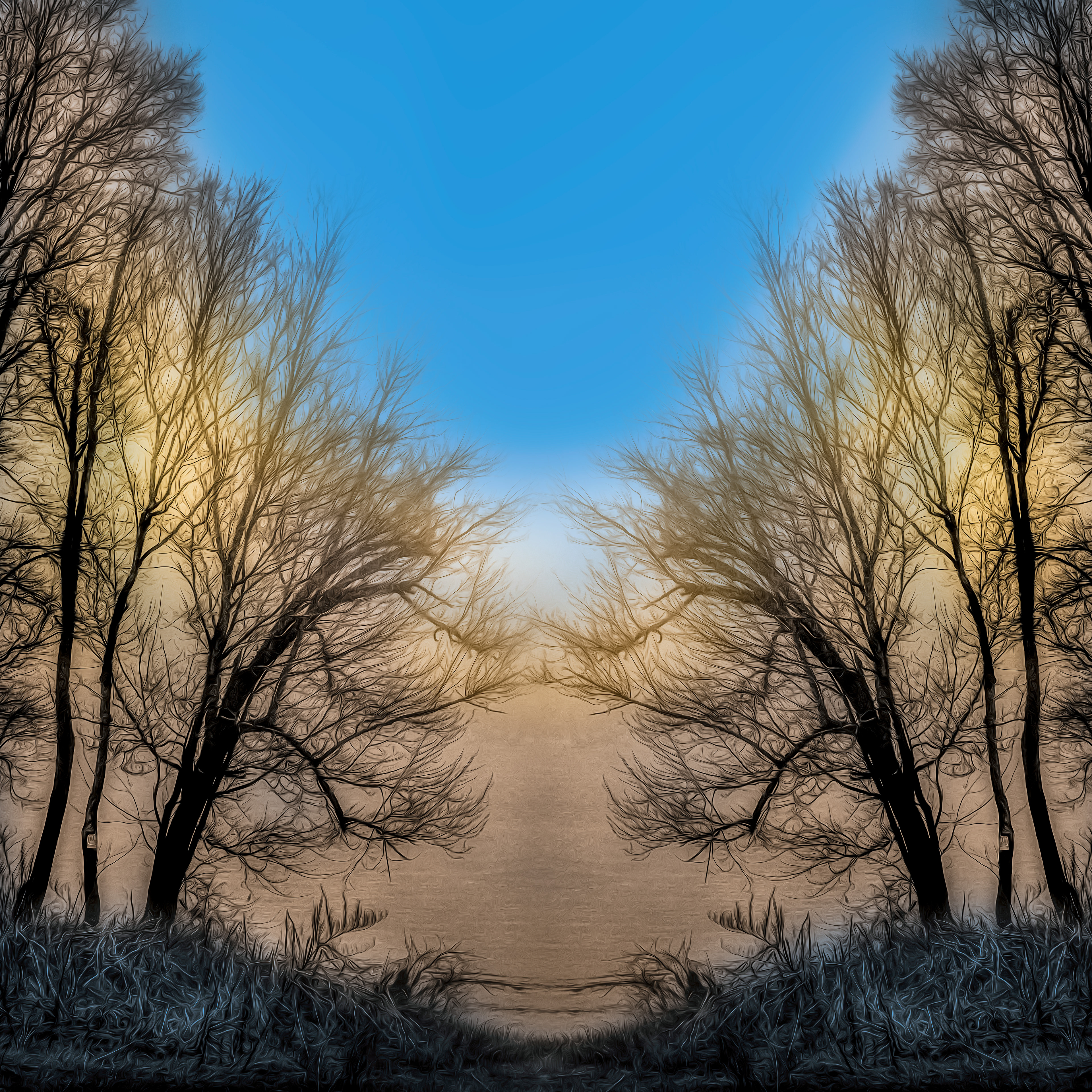 Enchanted Sunrise
