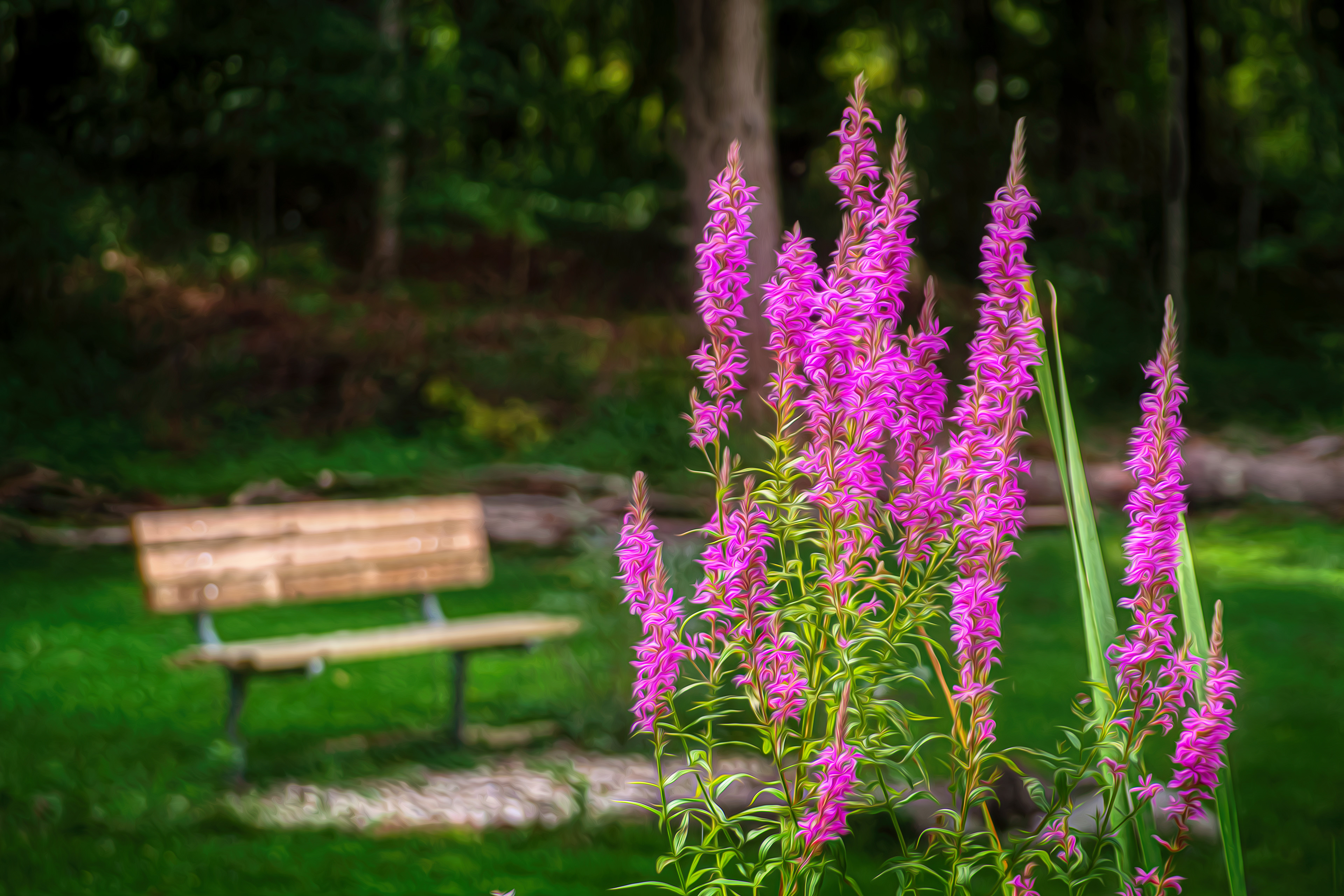 Our Backyard Bench