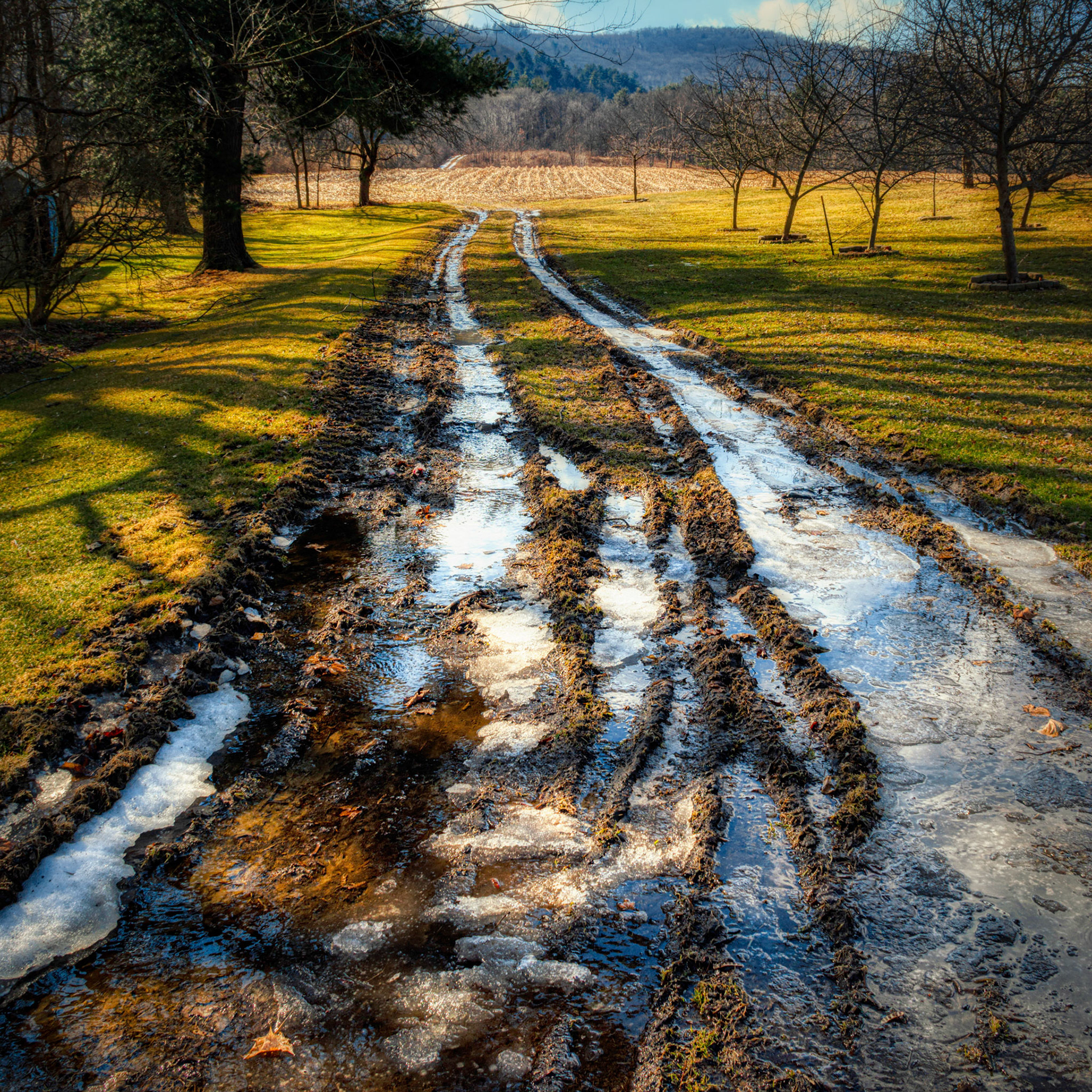 Muddy Road Leads to Field