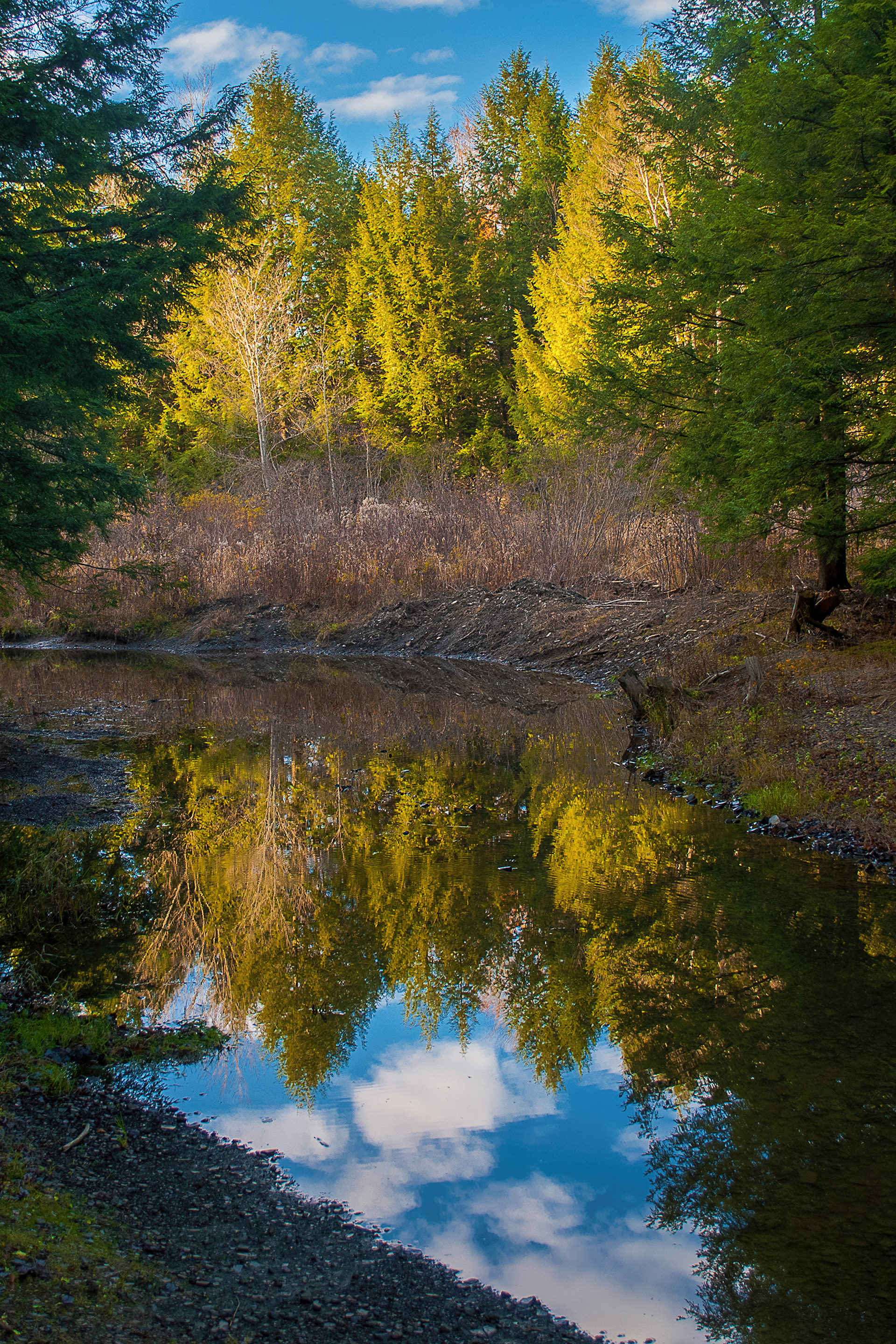 Reflection in Steam