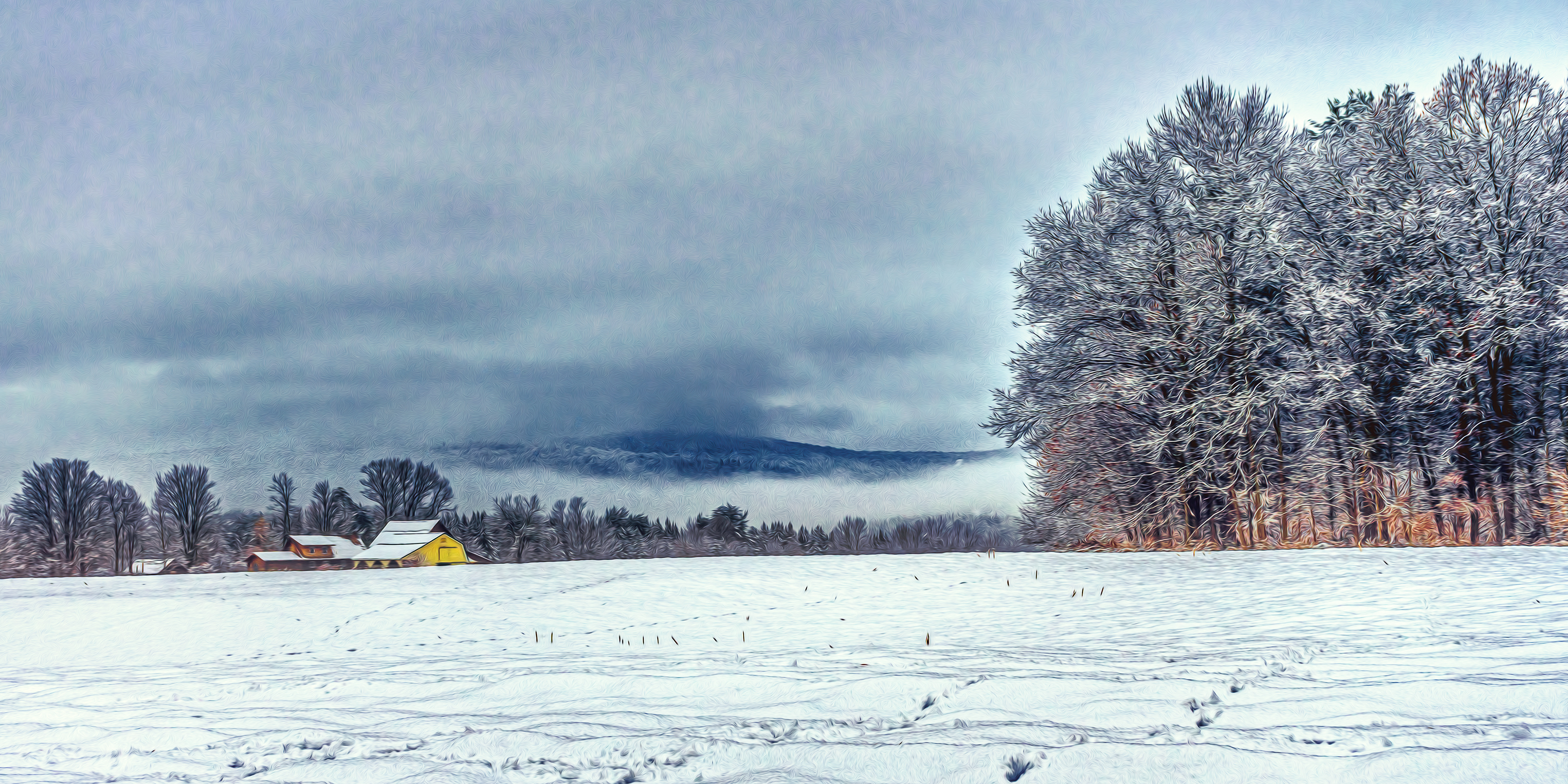 Yellow Barn Snow & Fog