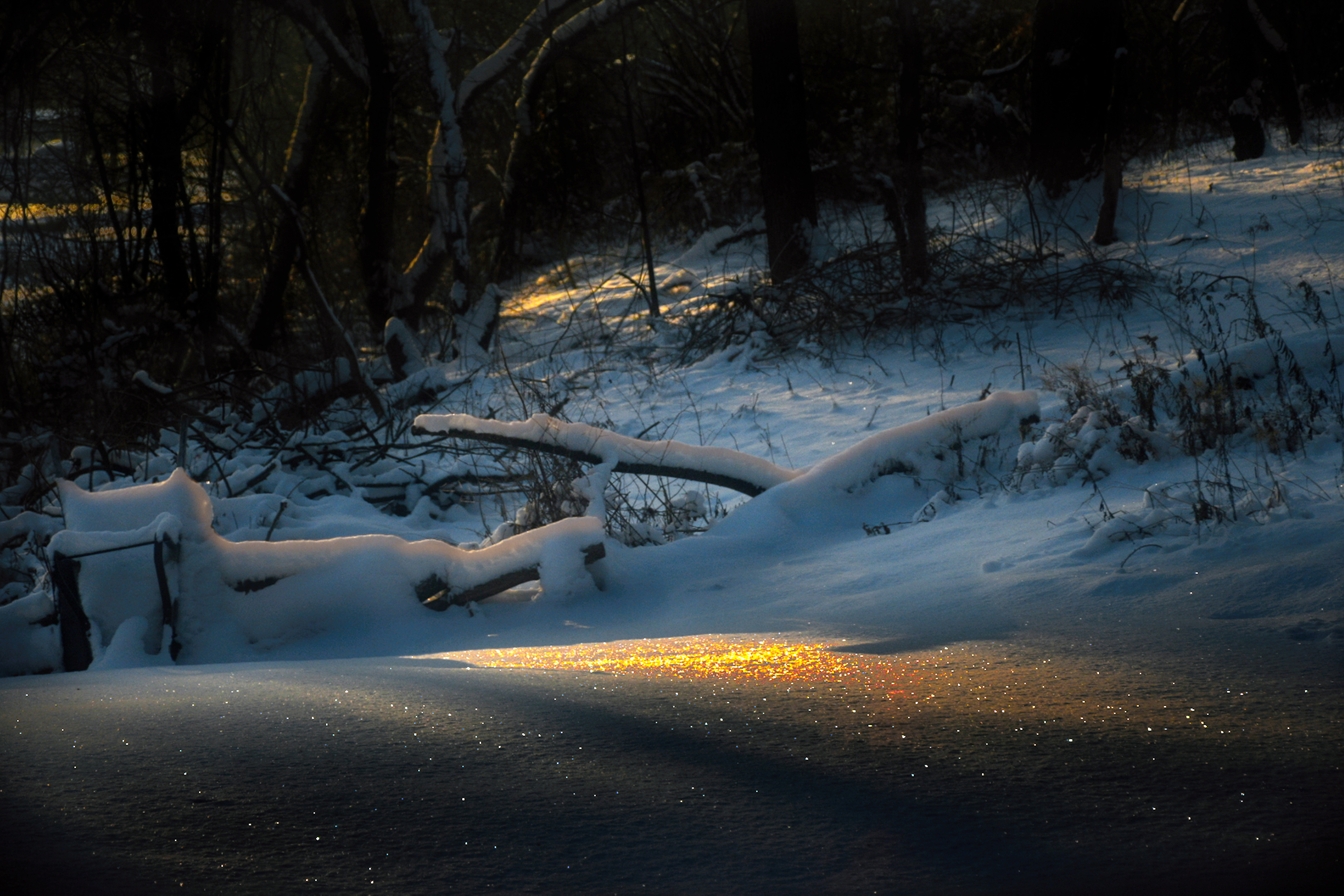 Diamonds in the Snow