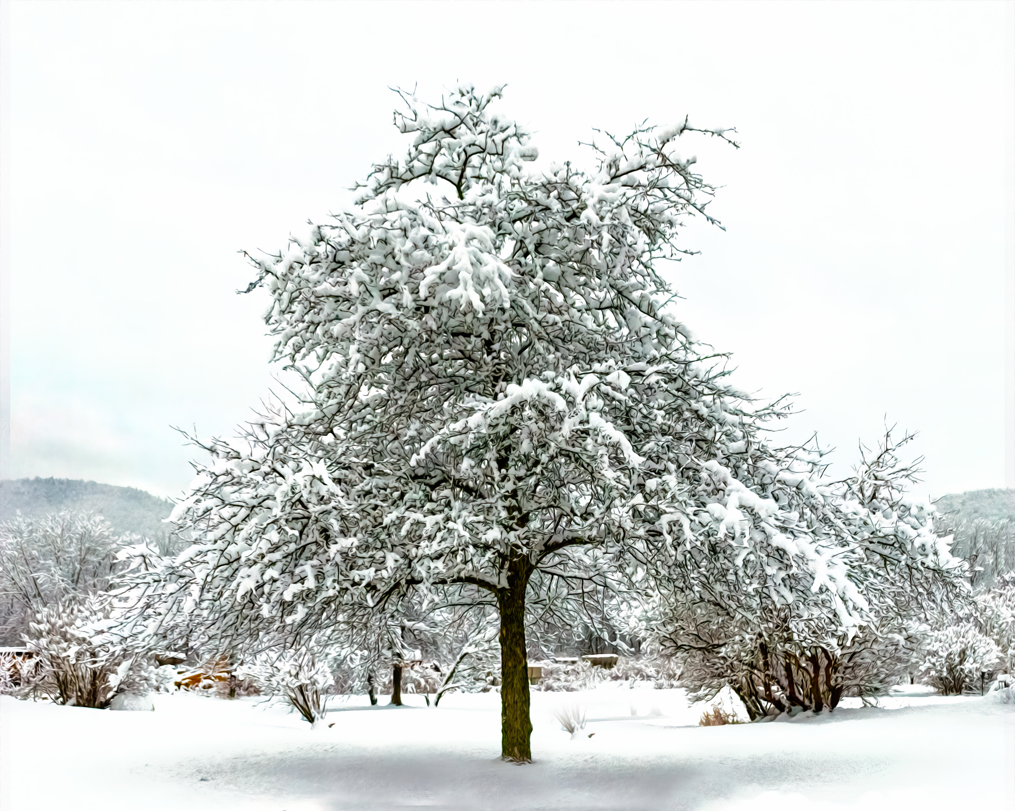 Heavy Snow on Tree