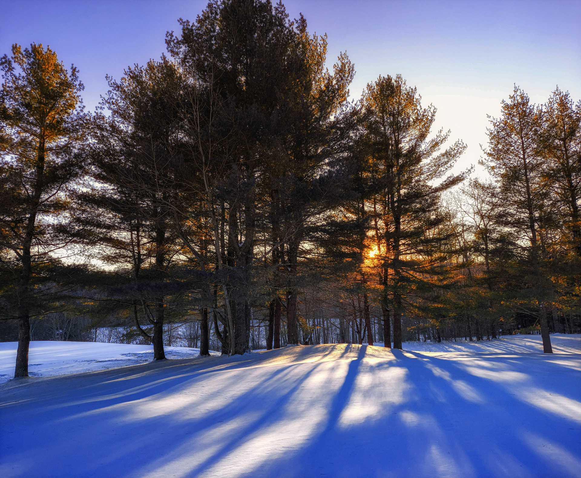 Blue Shadows at Sunset